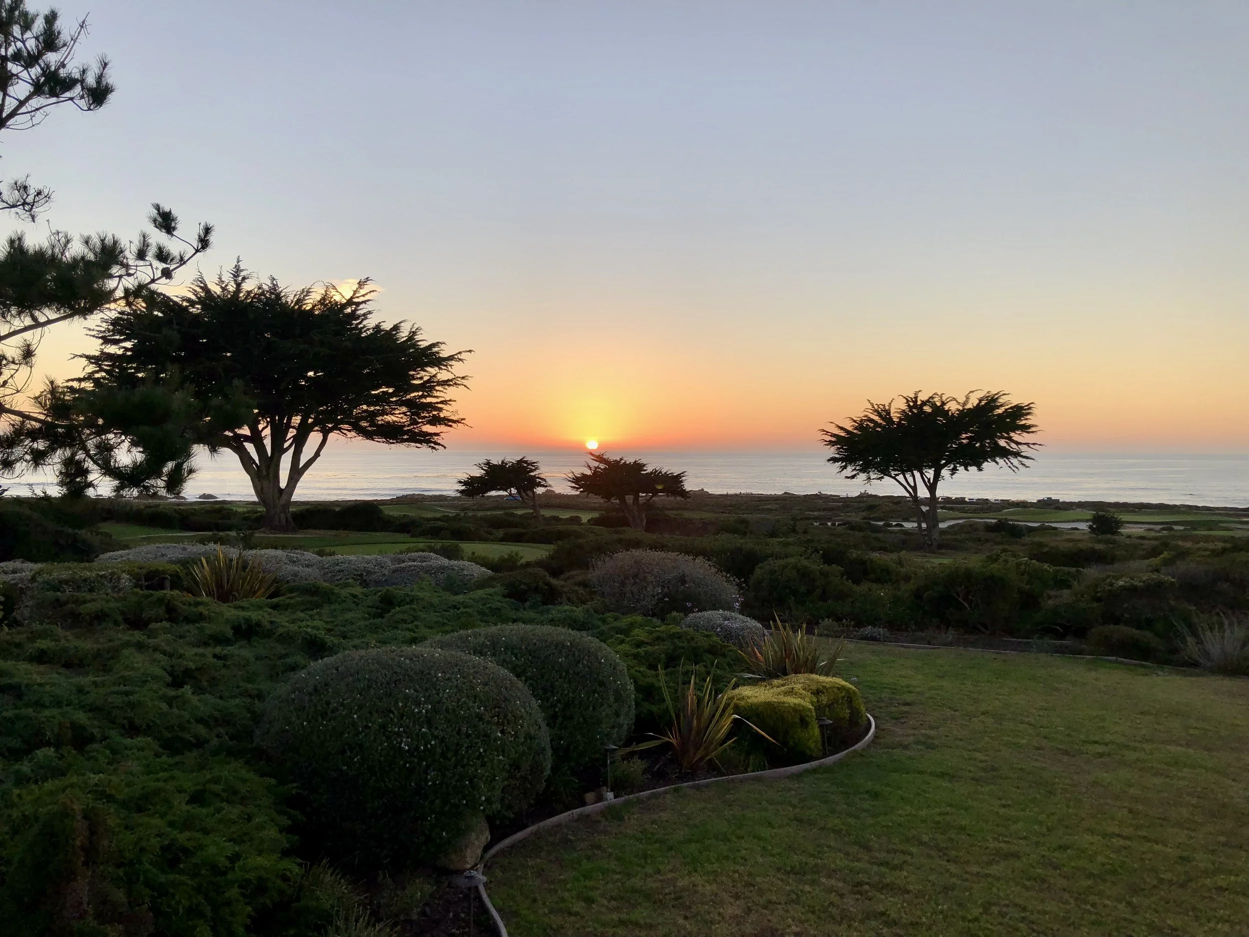 IMG_0756.jpeg