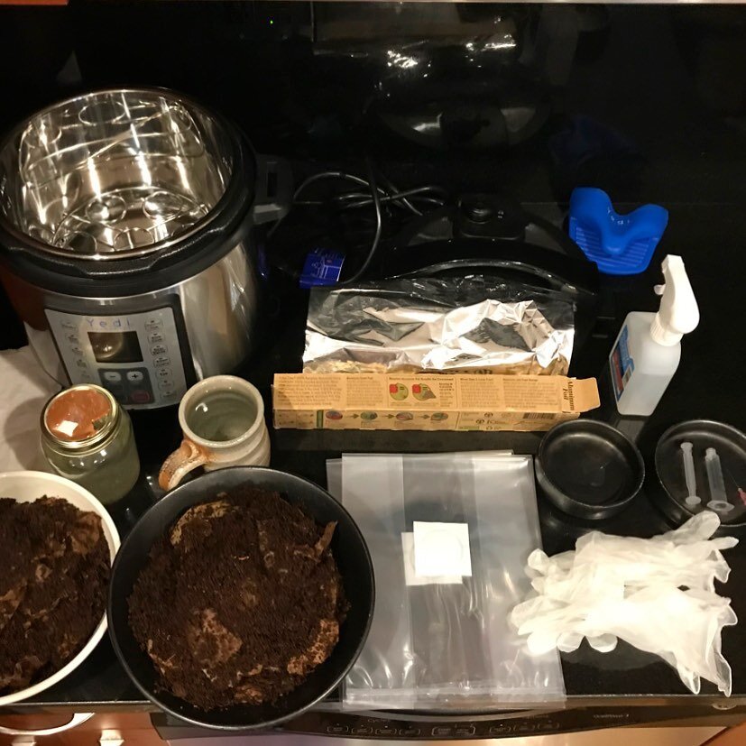 Prep for cooking.👩&zwj;🍳🍄☕️#mycelium#coffeegroundsubstrate#liquidculture#oystermushroom