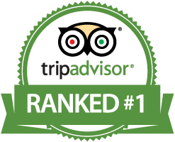 tripadvisor-badge-ranked-1.png