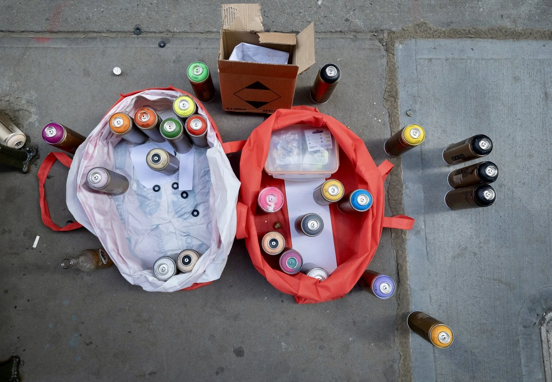 Photo courtesy of Damon Webster