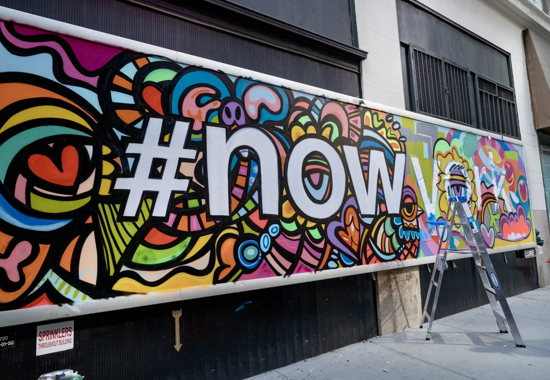 Photo courtesy of Damon Webster