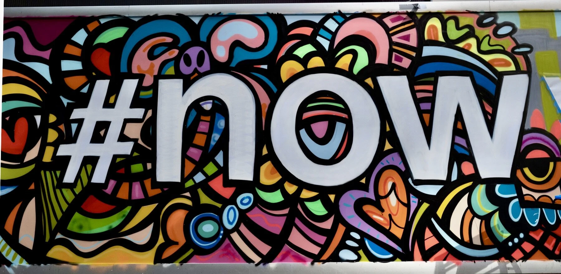 Photo courtesy of Damon Webster