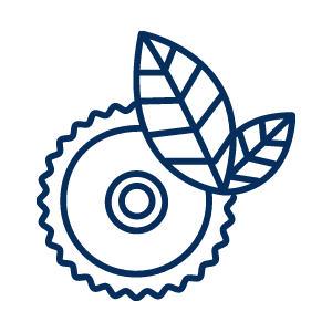 CleanTech