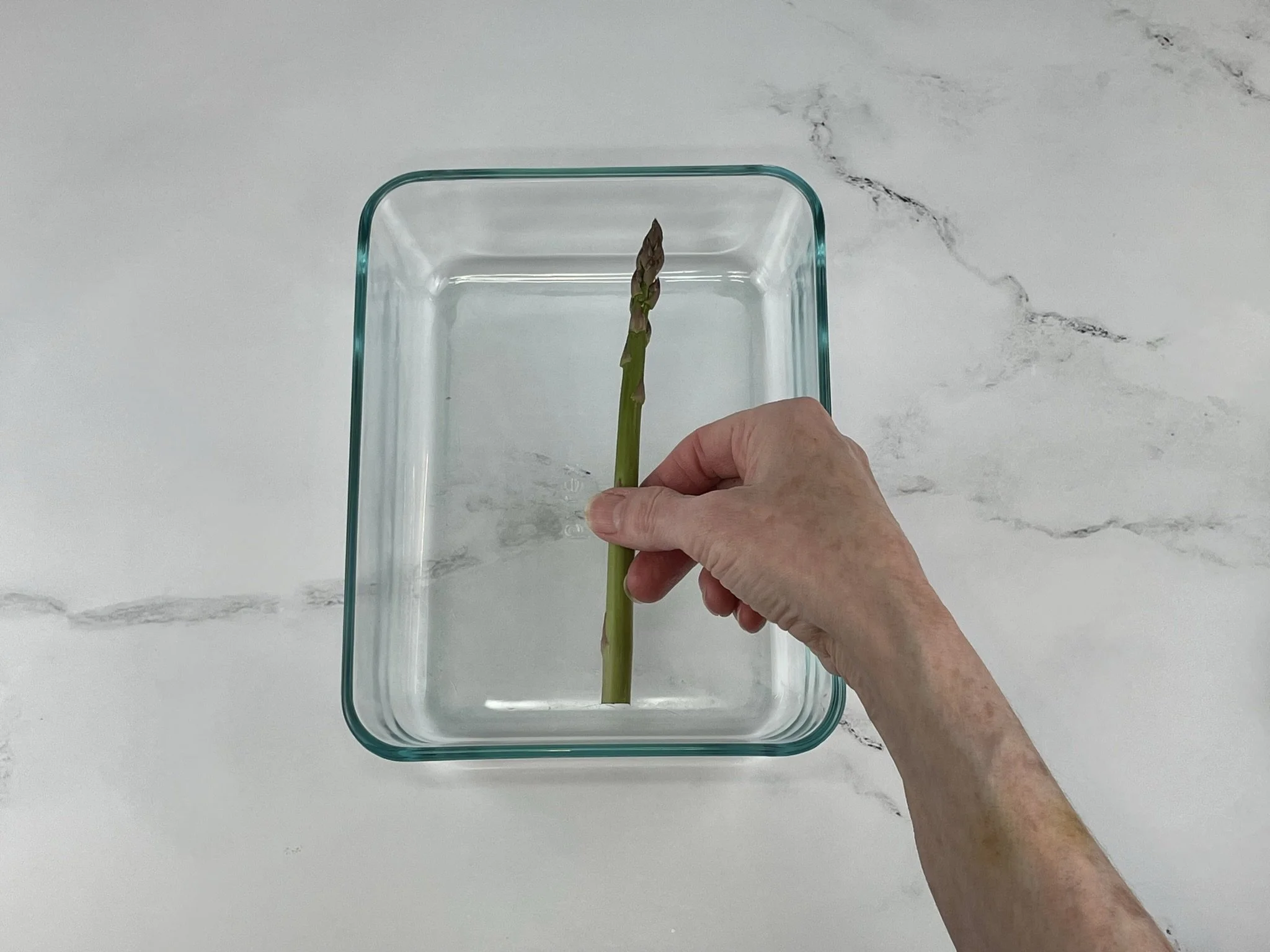 Test to fit in dish.