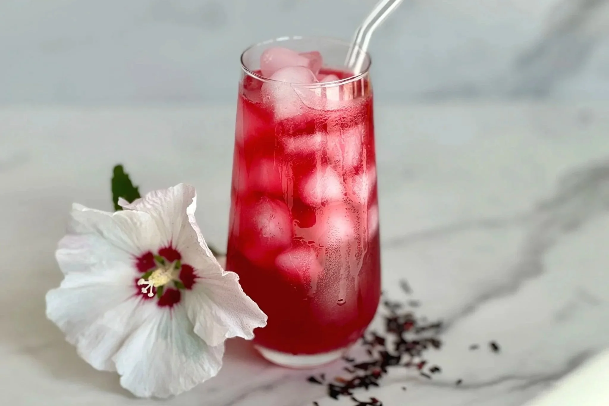 Hibiscus Lemonade