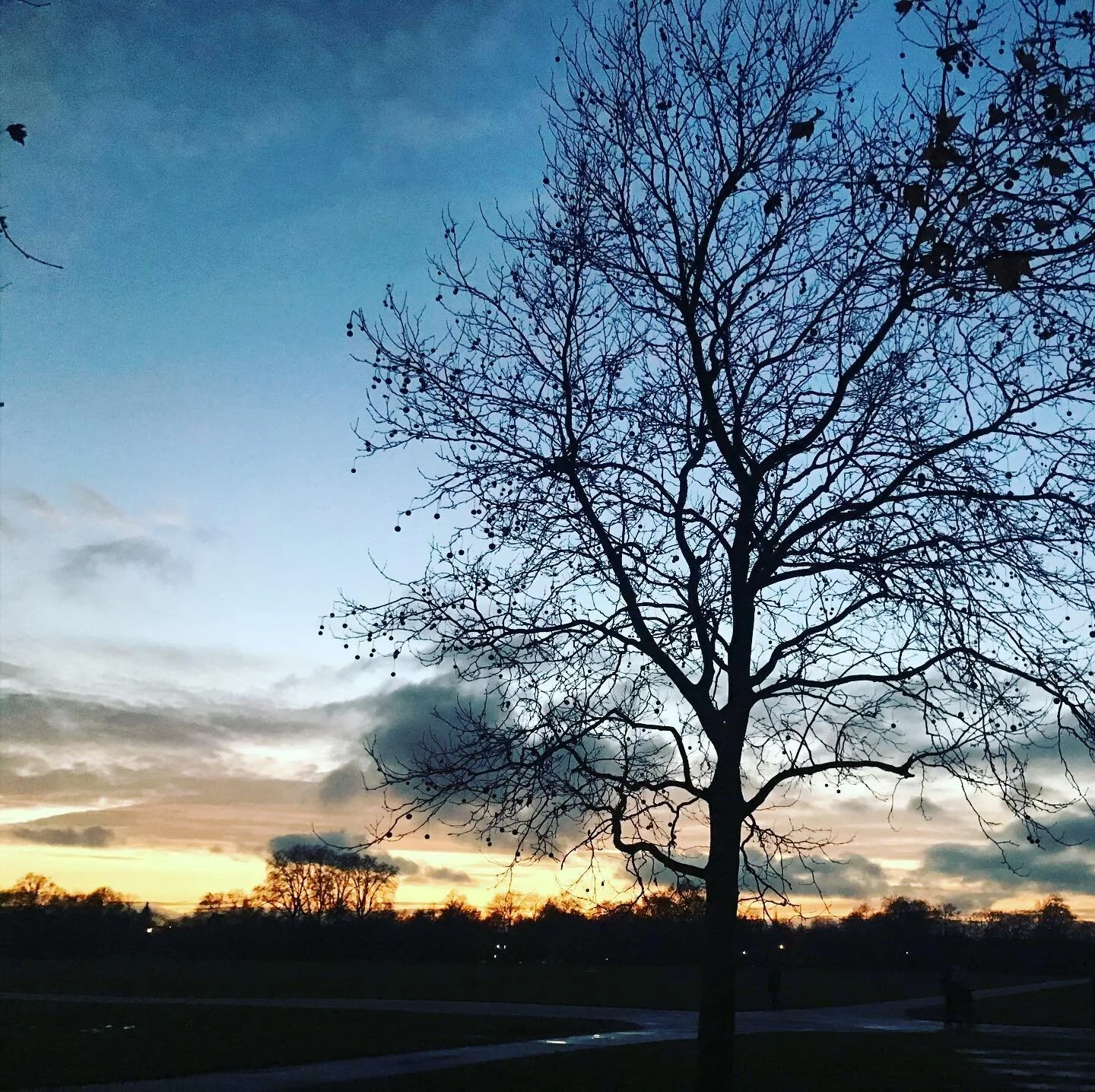 Sometimes this world just takes your breath away.