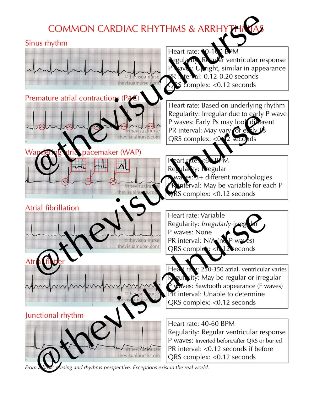 Free Resources & More! — The Visual Nurse