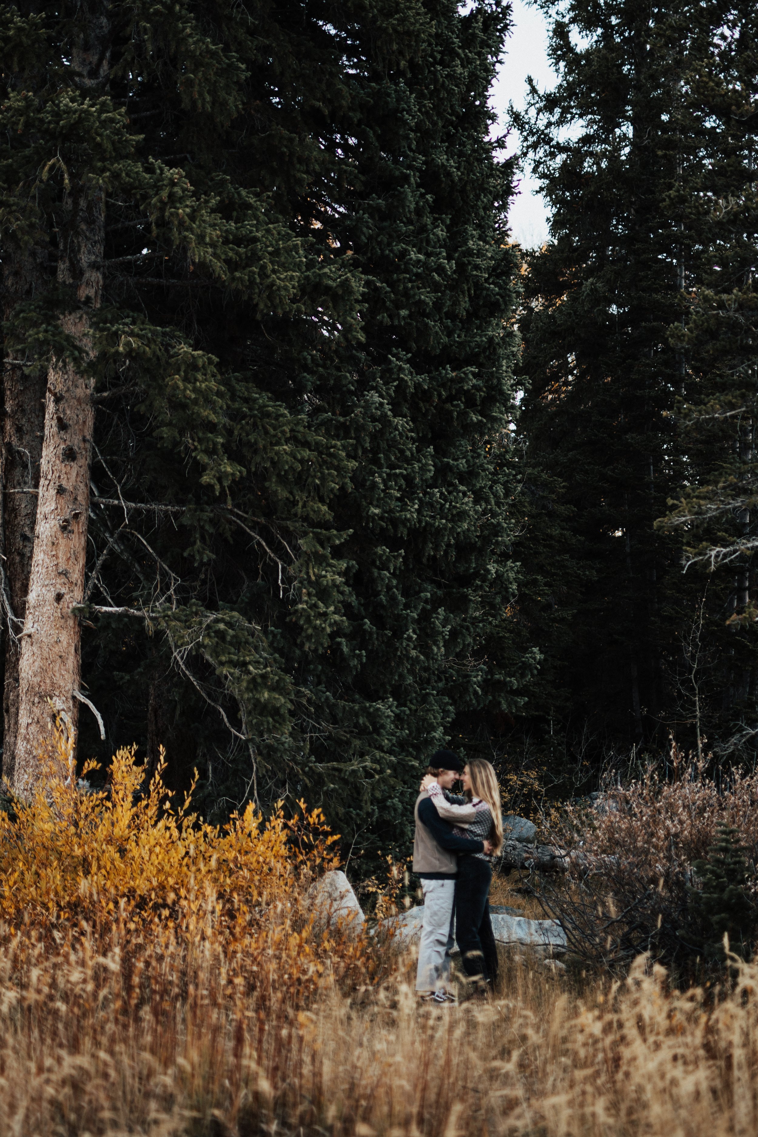 mountain-engagements-in-fall-22.jpg