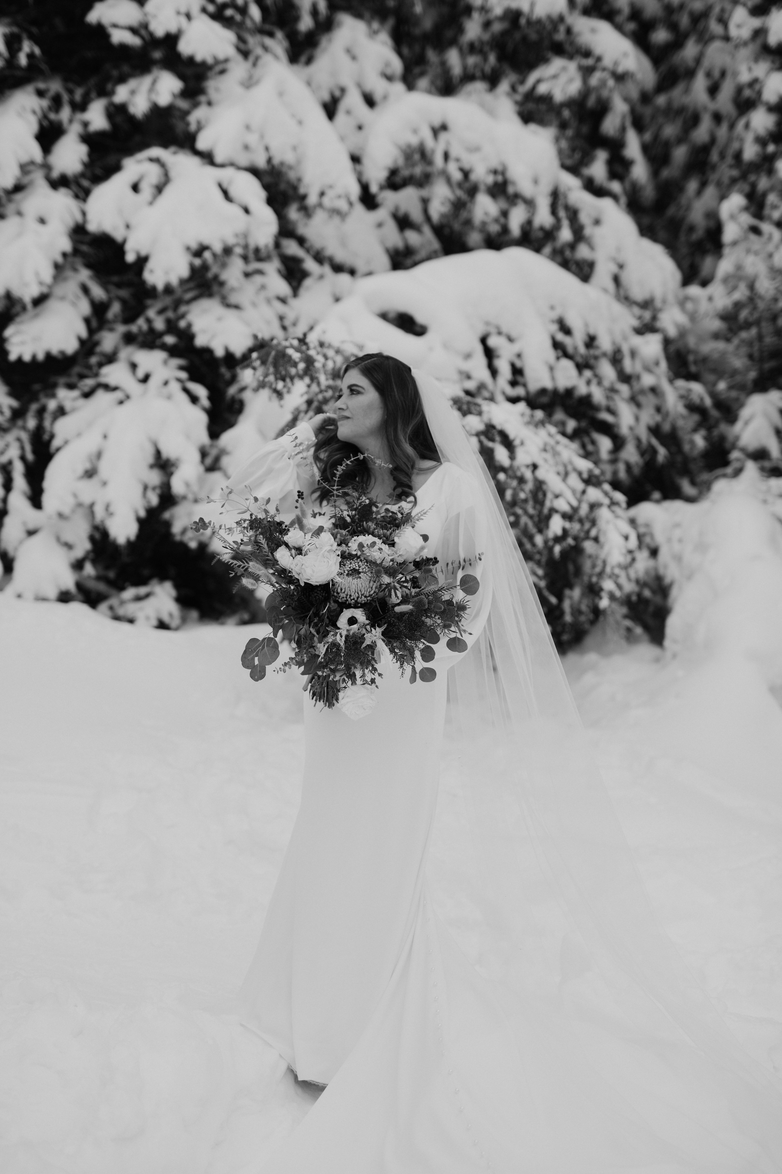 utah-mountain-winter-bridals-71.jpg
