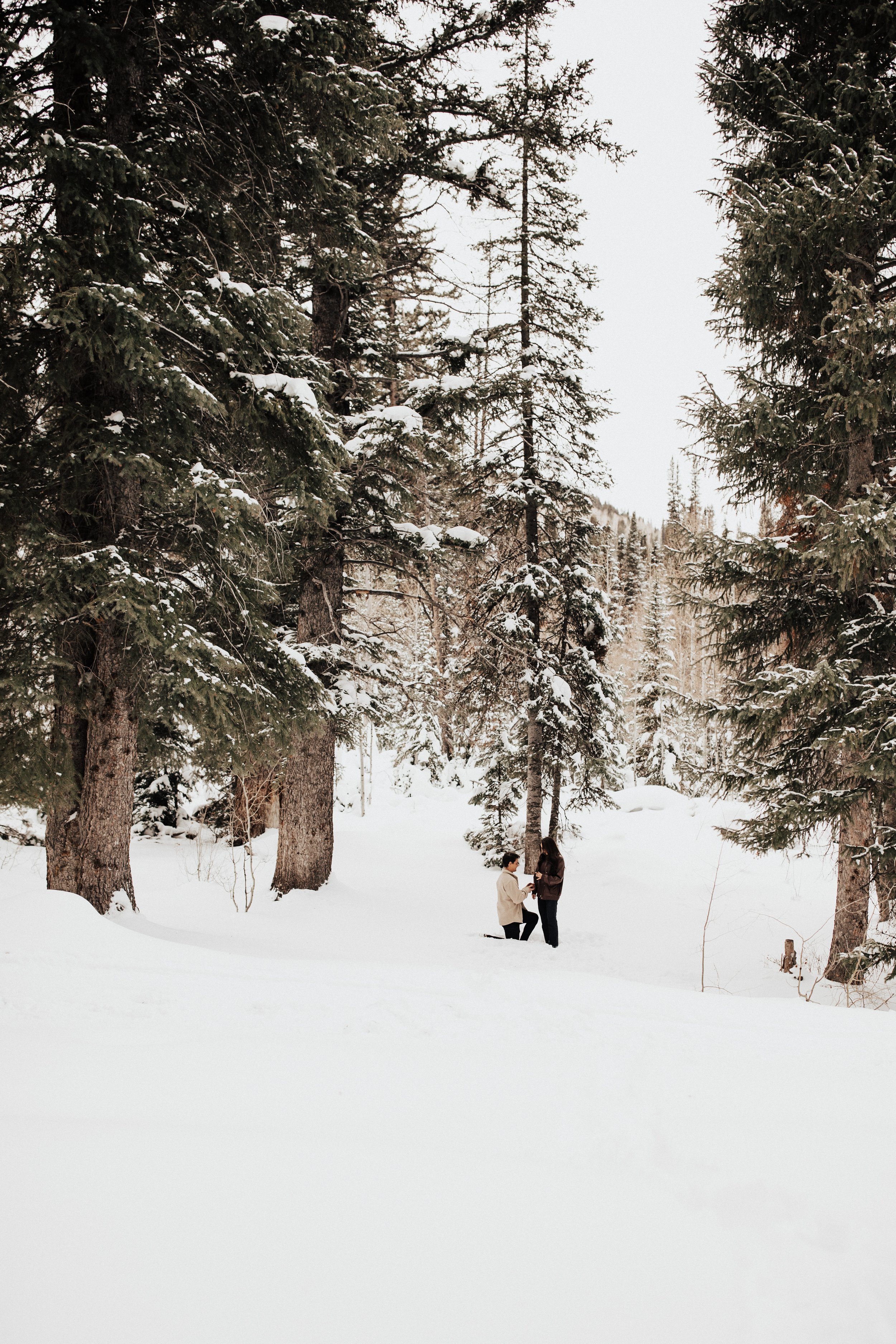 romantic-surprise-winter-proposal-2.jpg