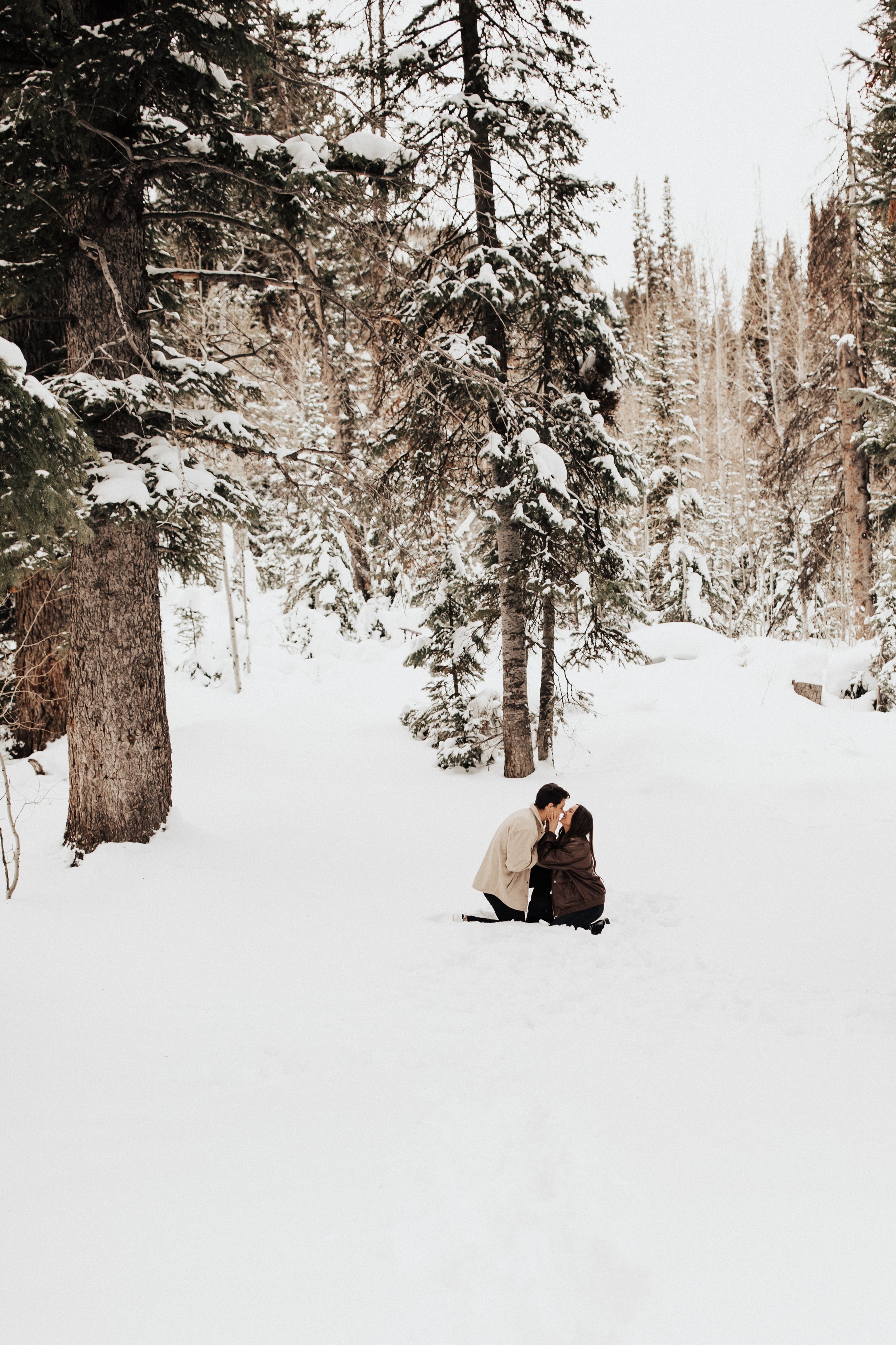 romantic-surprise-winter-proposal-4.jpg