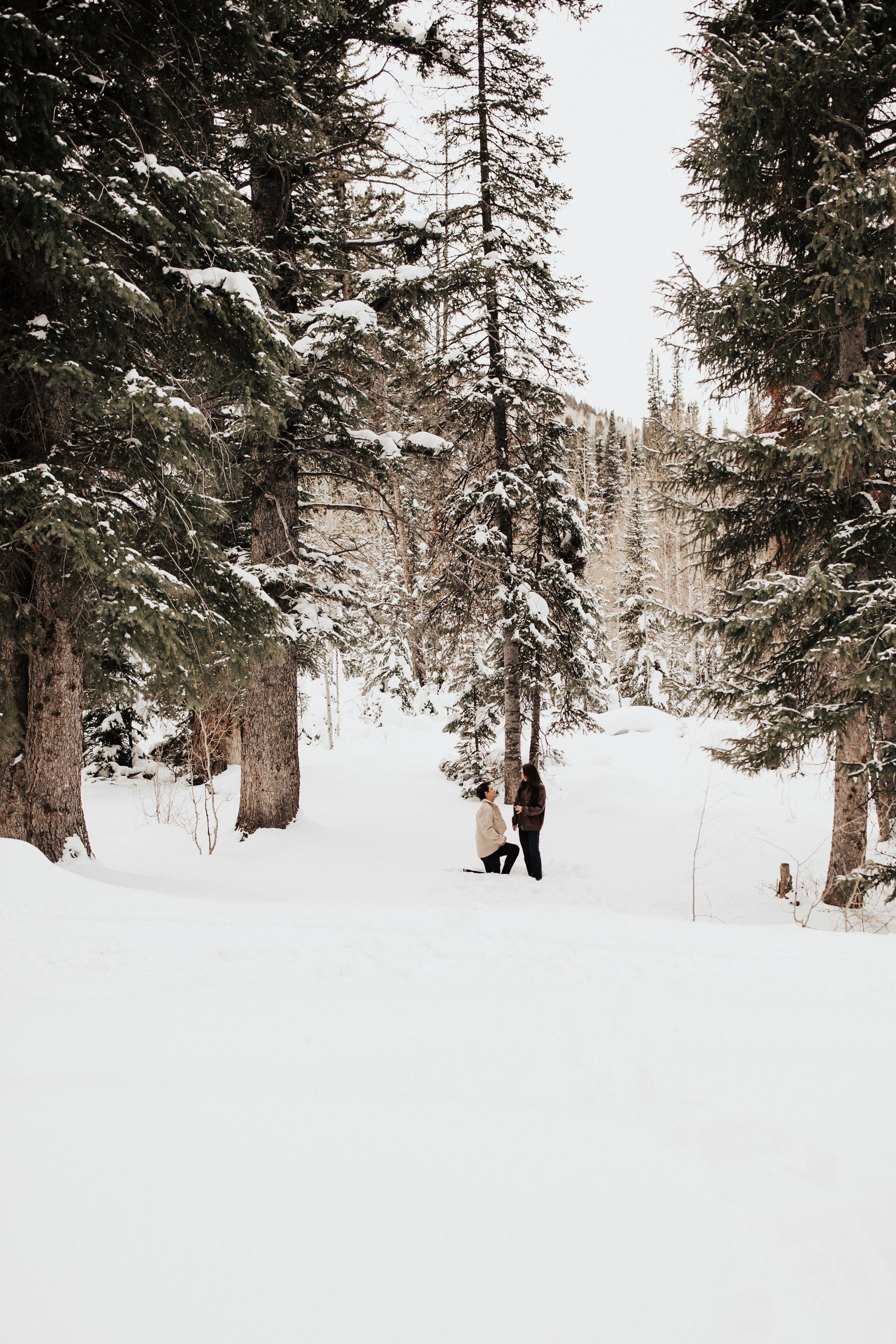 romantic-surprise-winter-proposal.jpg