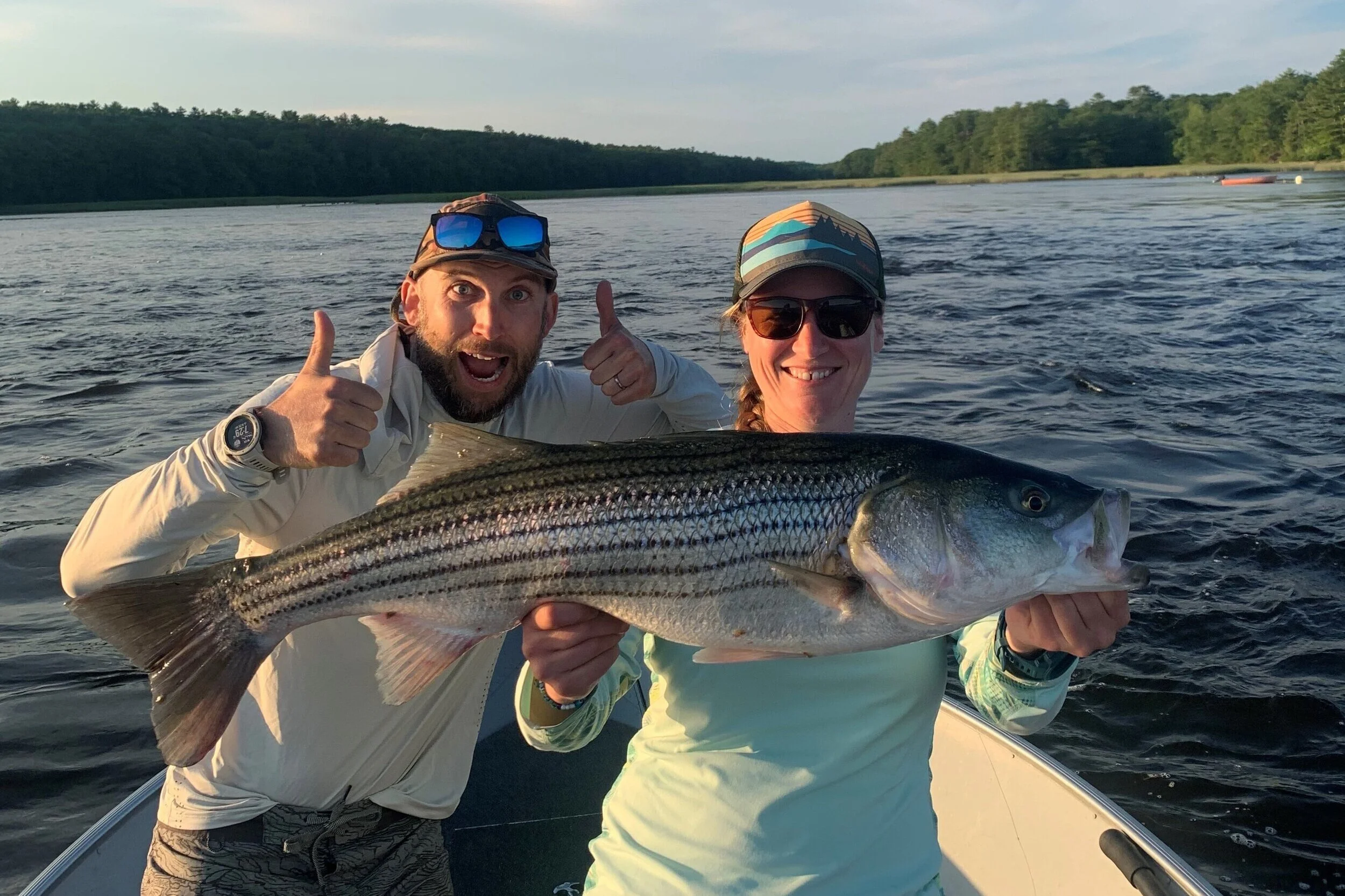 Maine Striper Reports — Maine Striper Adventures