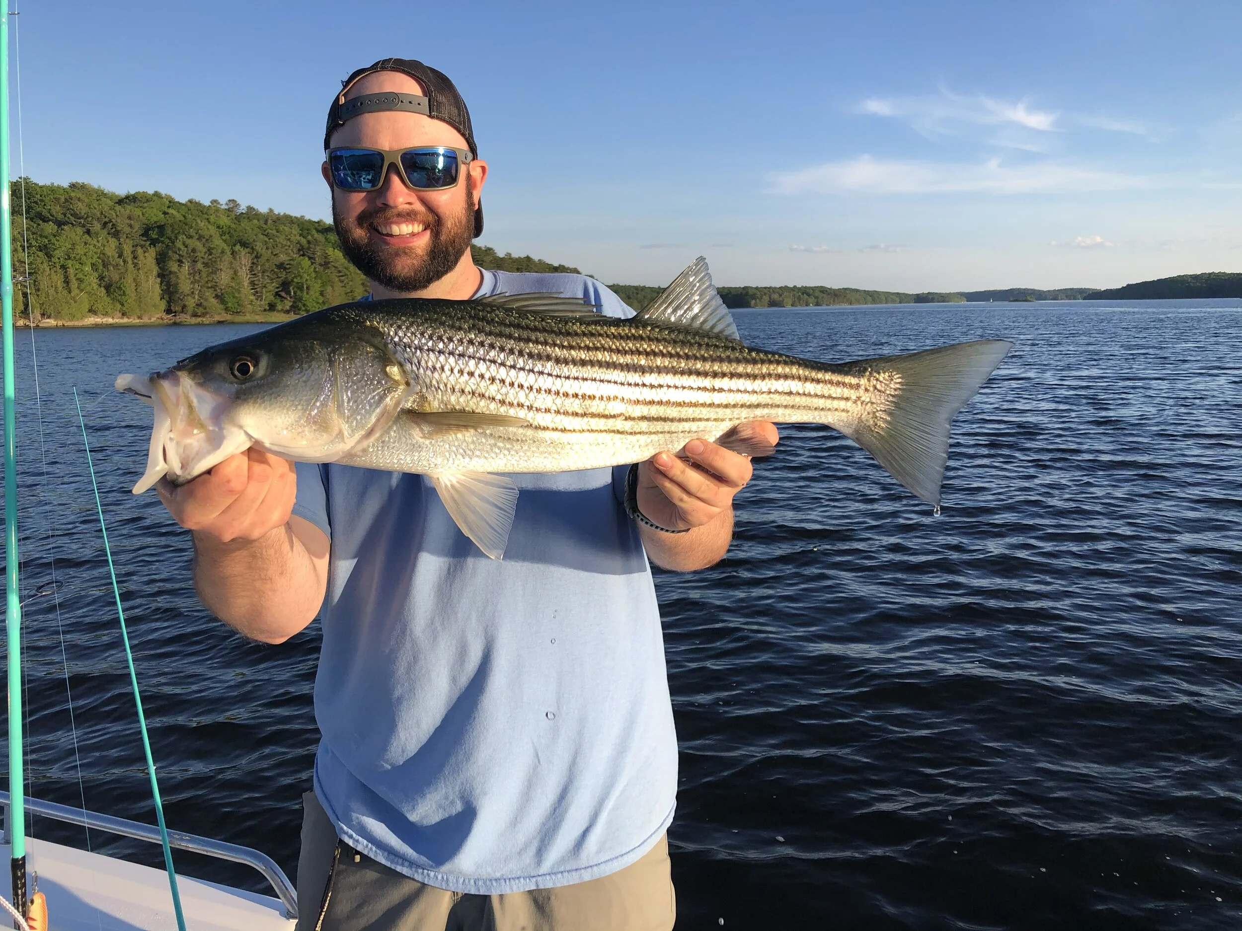 Maine Striper Reports — Maine Striper Adventures