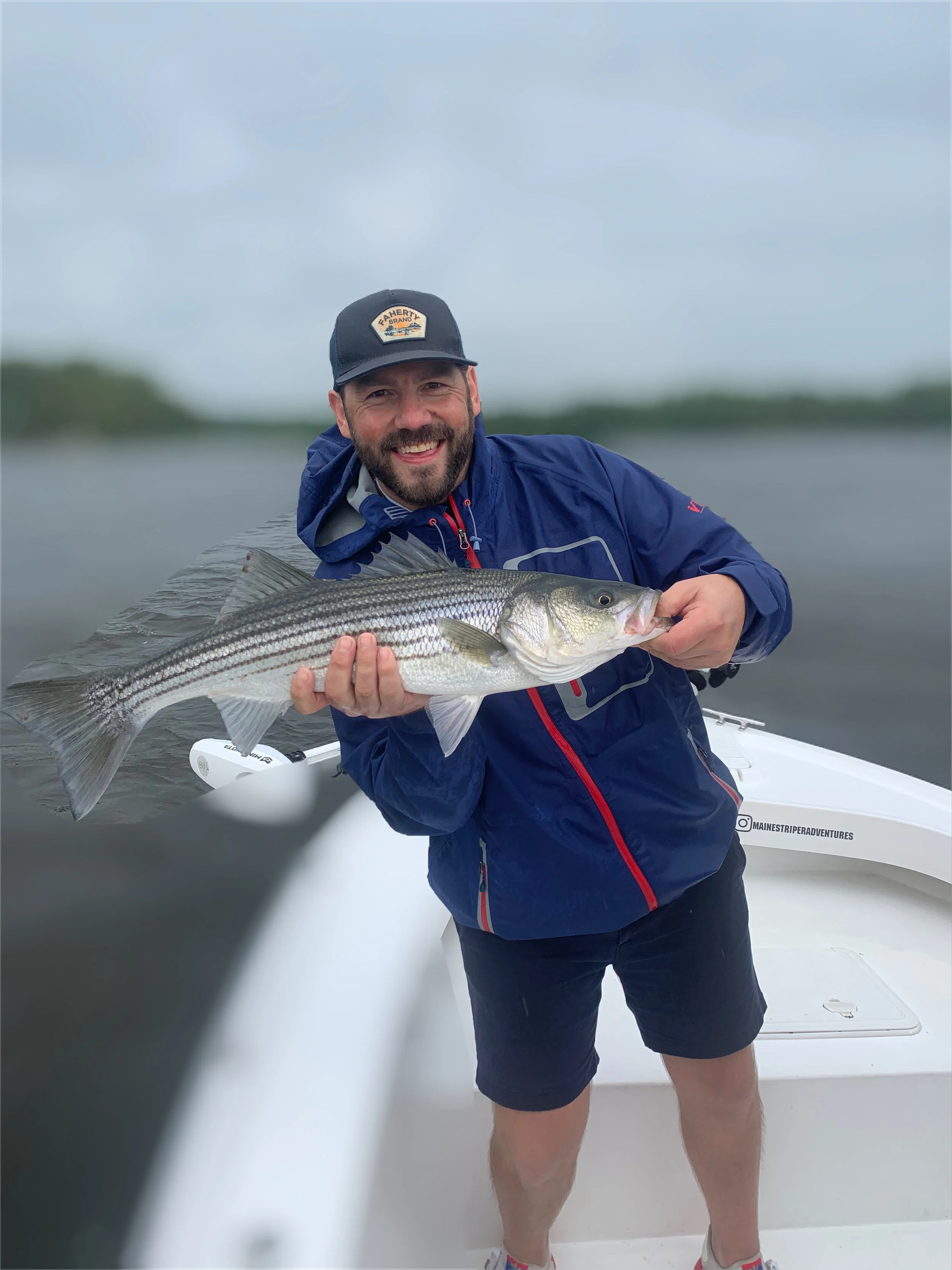 Maine Striper Reports — Maine Striper Adventures