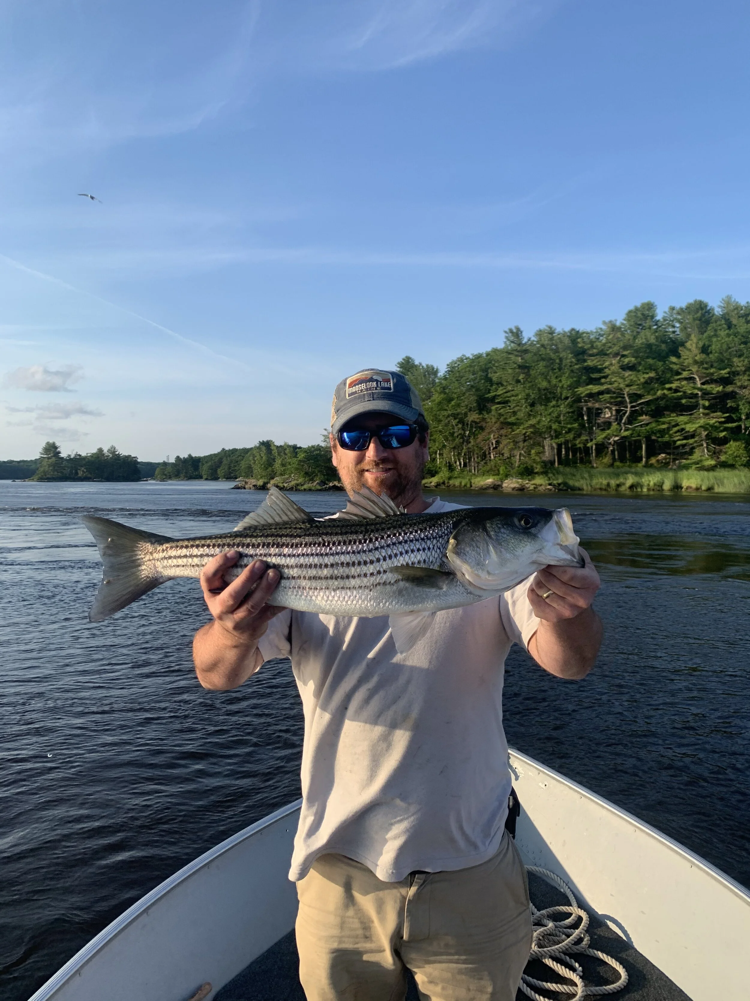 Trips — Maine Striper Adventures