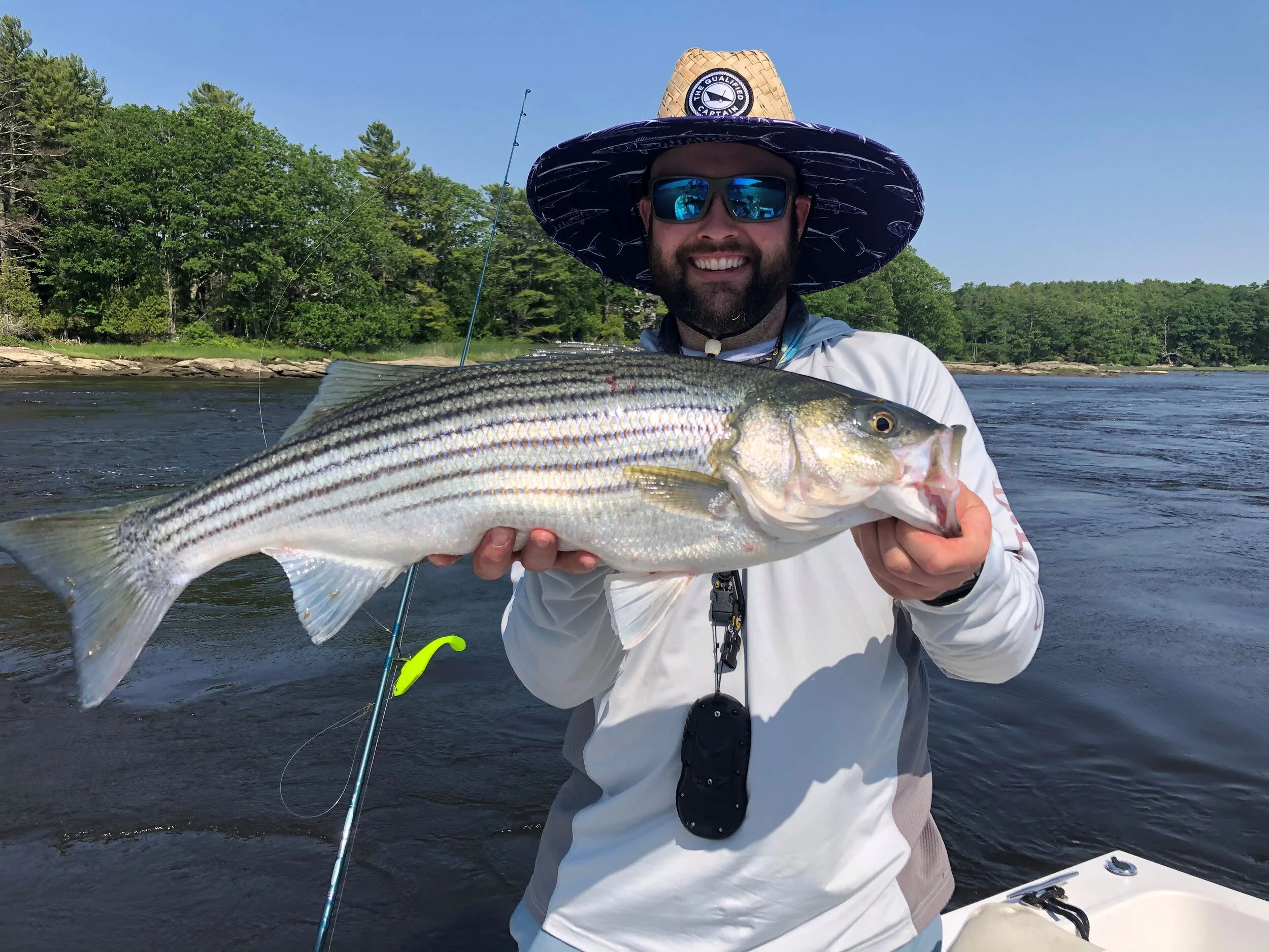 Trips — Maine Striper Adventures
