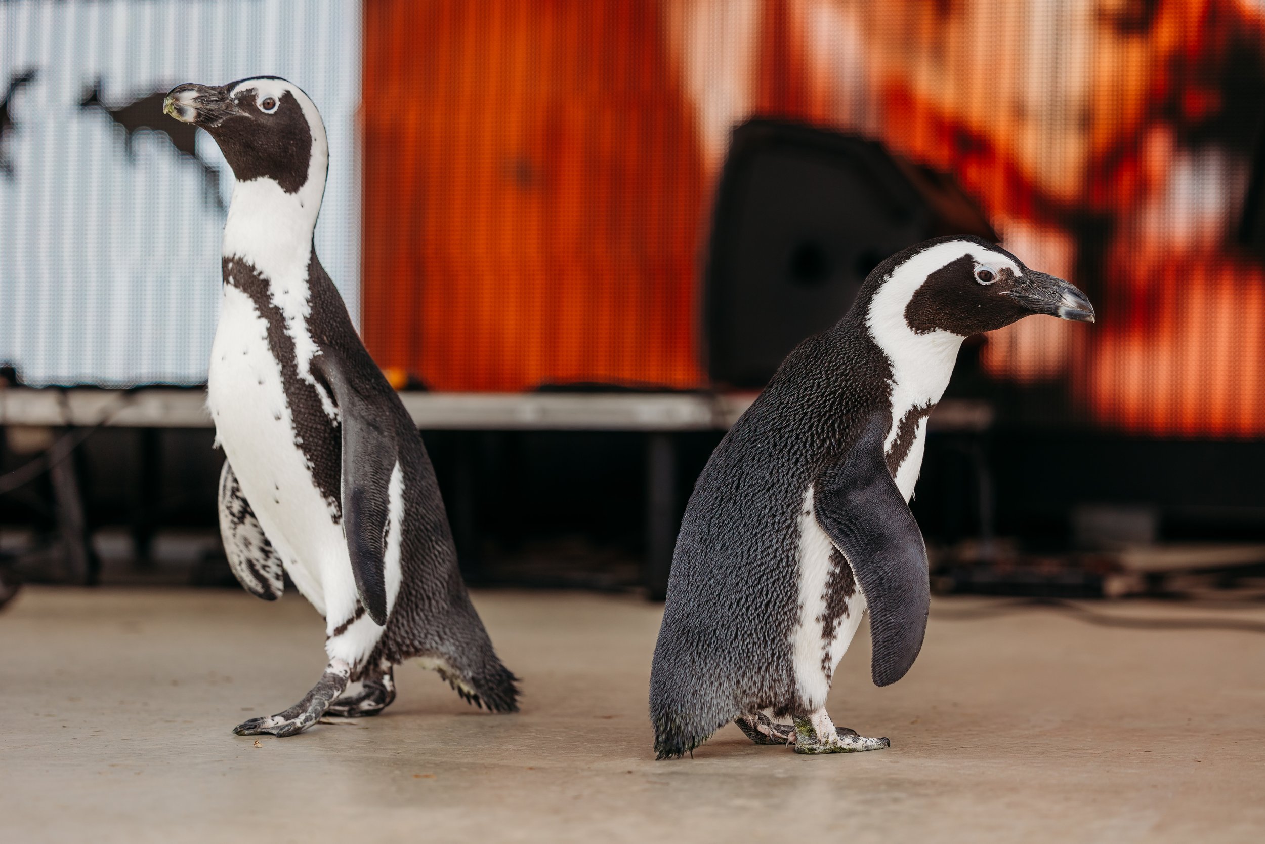 03.07.26_WildlifeExpo2026-6830.jpg
