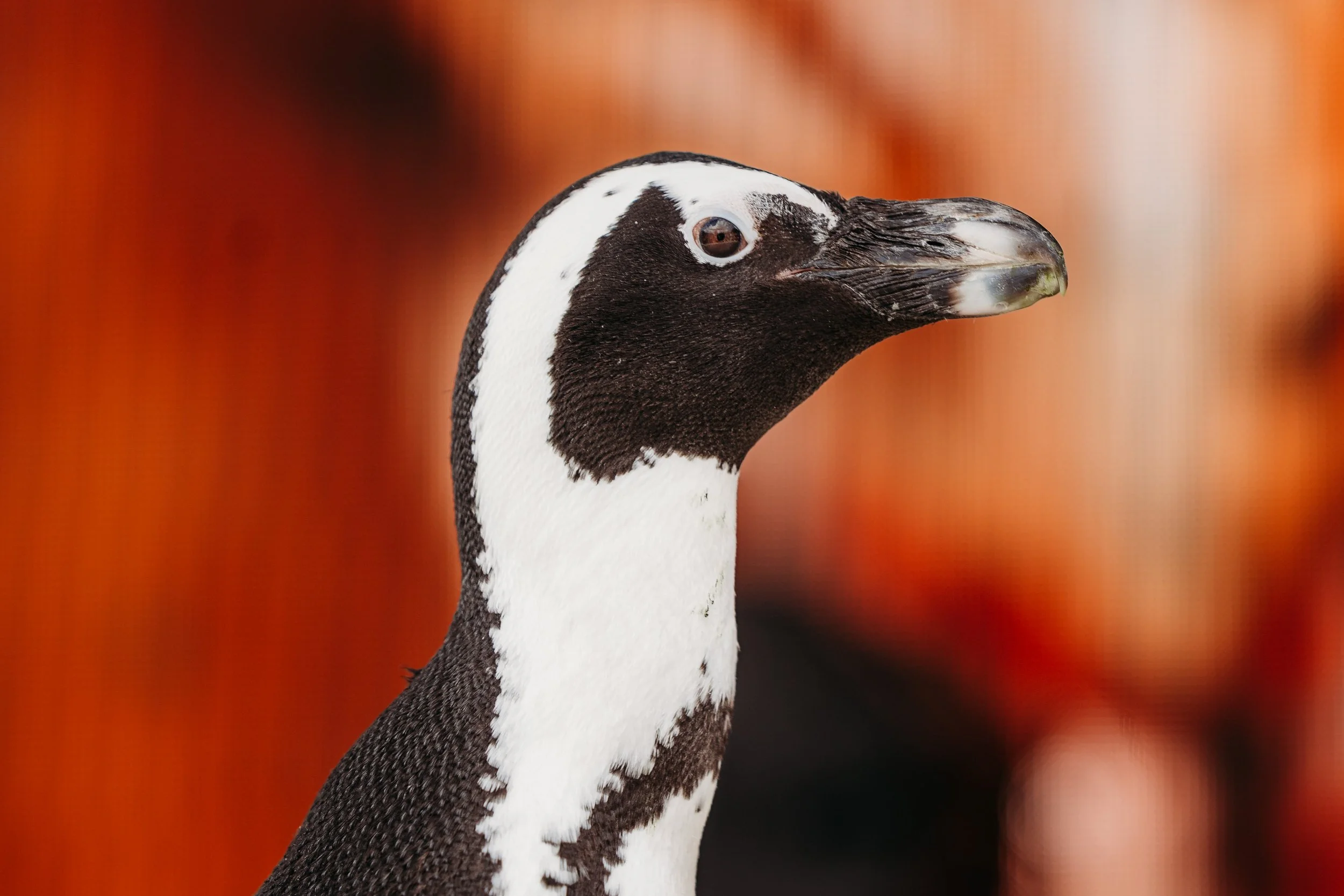 03.07.26_WildlifeExpo2026-6833.jpg
