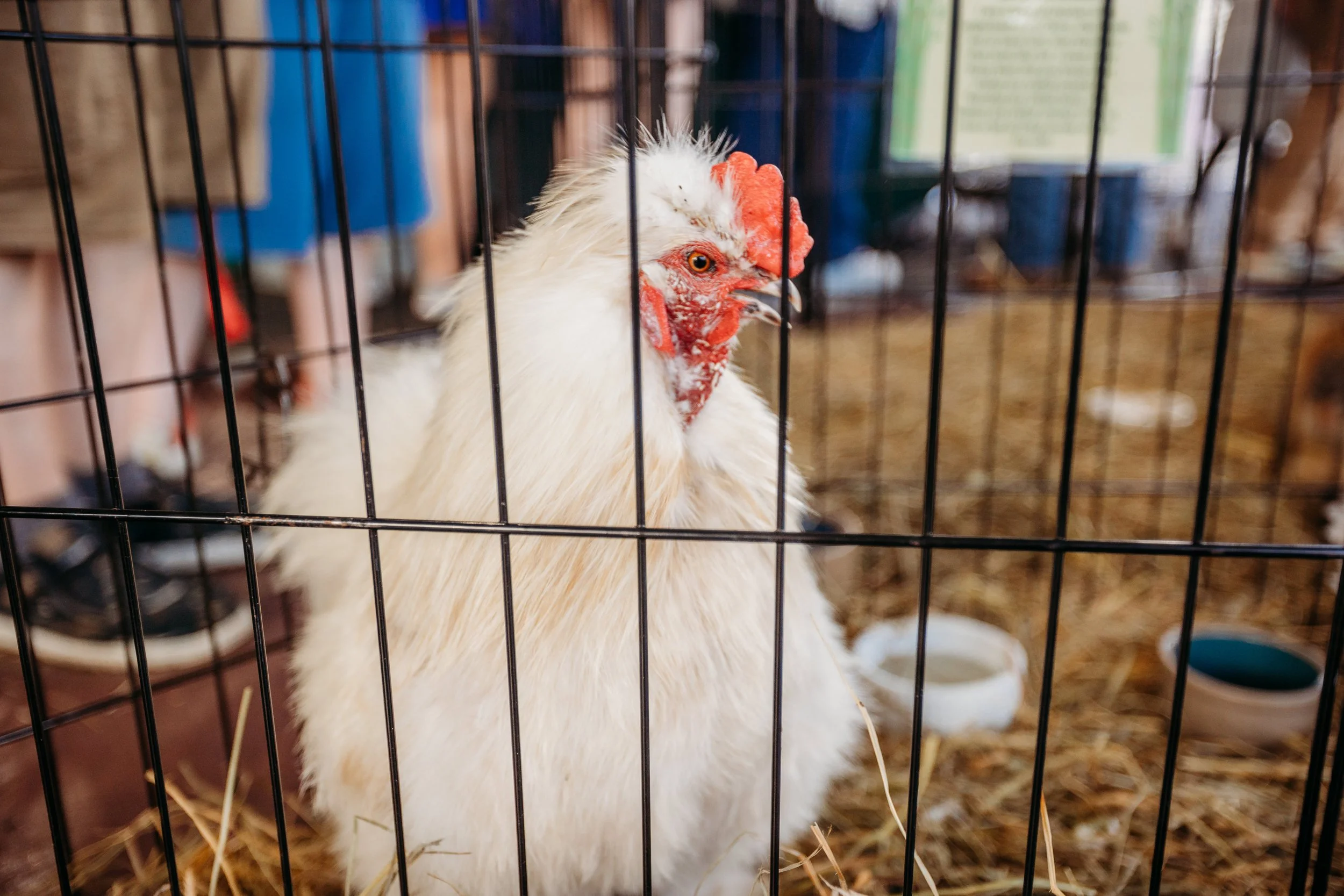 03.07.26_WildlifeExpo2026-2800.jpg