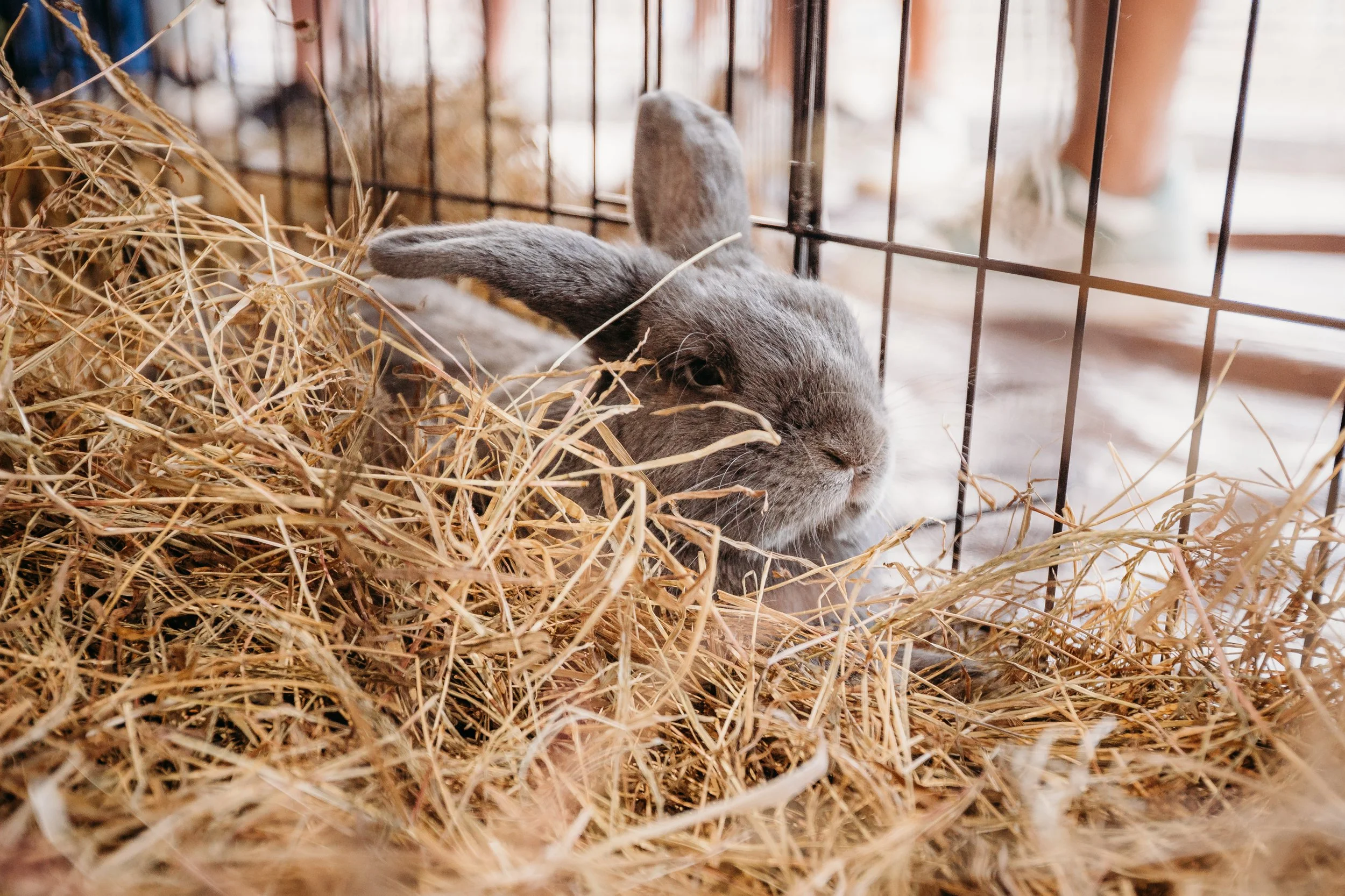 03.07.26_WildlifeExpo2026-2801.jpg