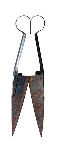 08.27.21 sheep shears sm.jpg