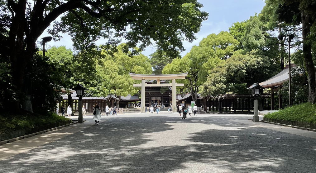 Shibuya, Yoyogi & Harajuku