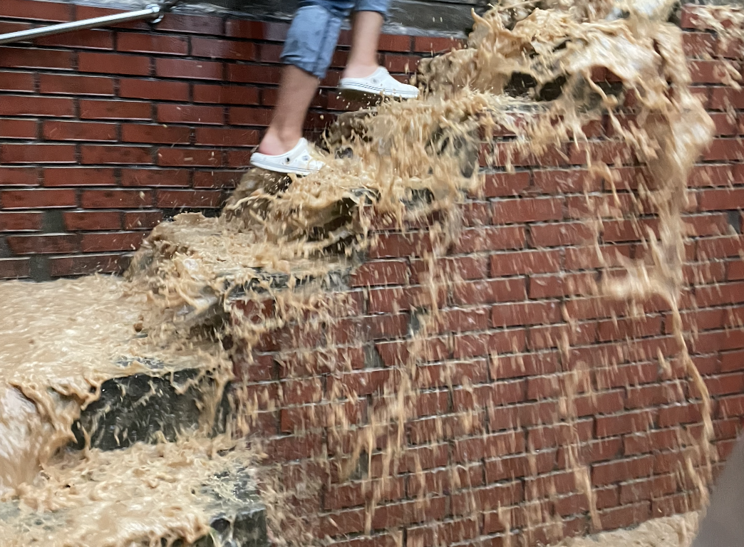 The Disaster