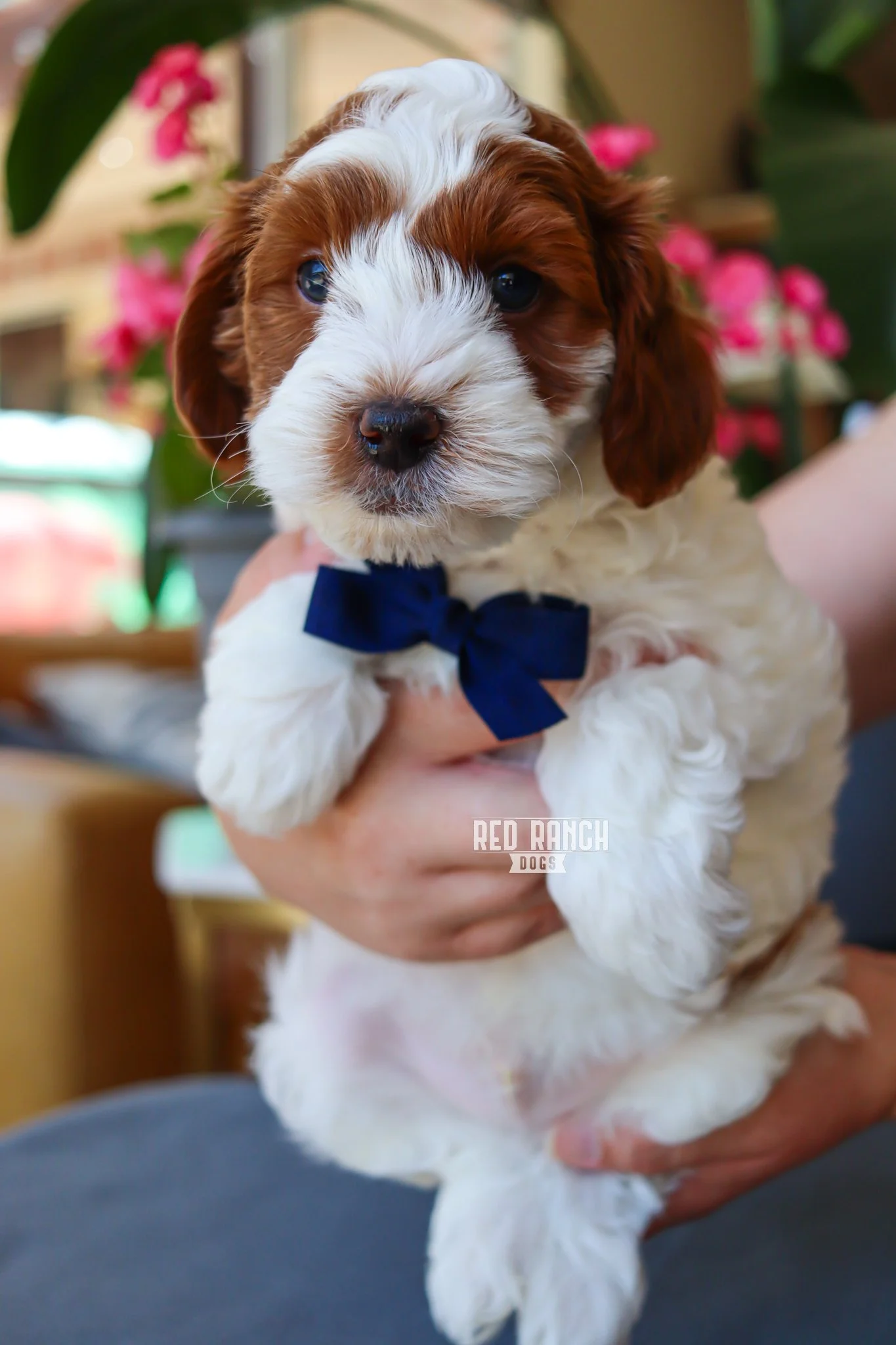 IMG_5476 10.06.53 AM.jpeg