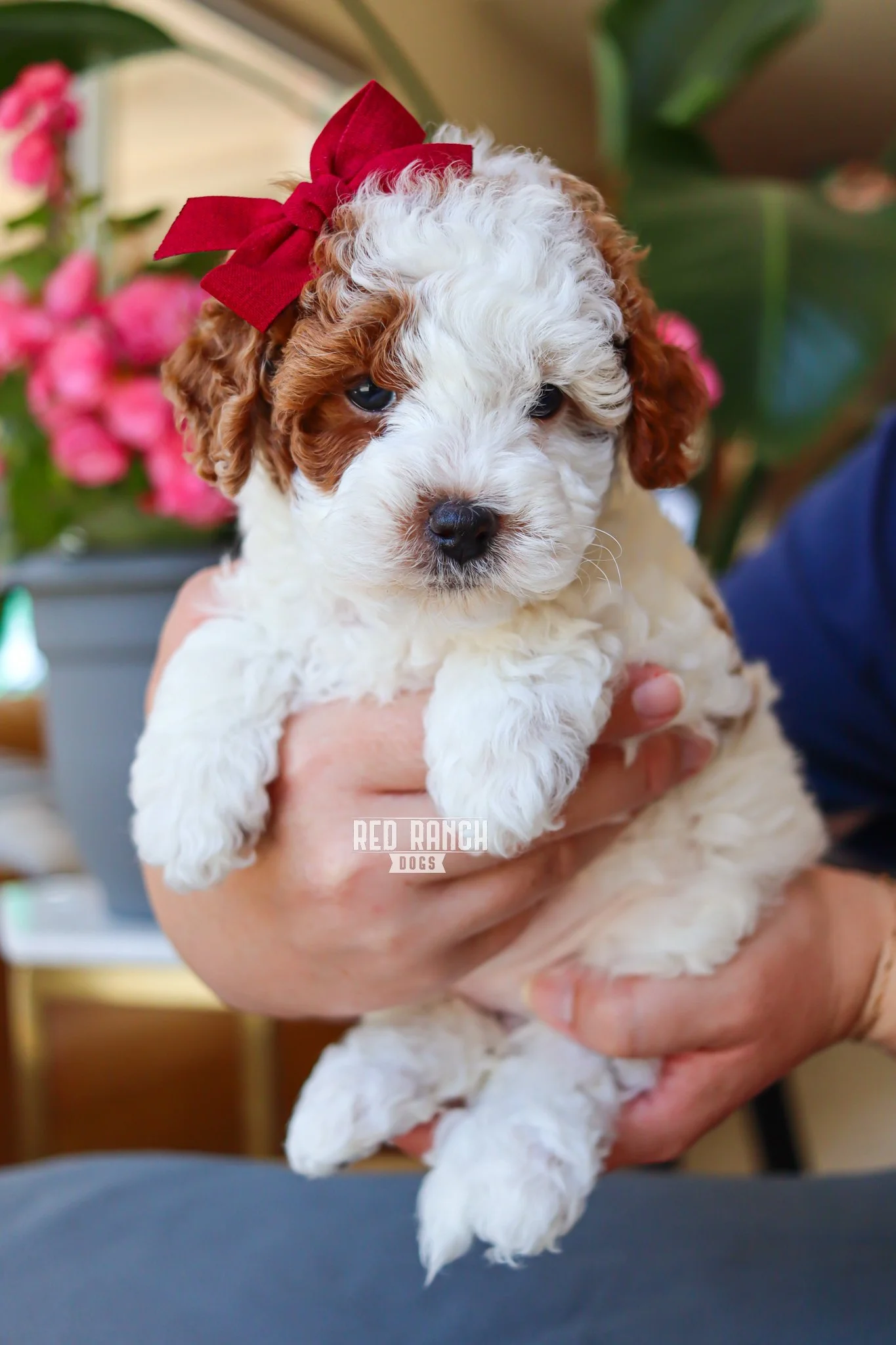 IMG_5439 10.06.53 AM.jpeg