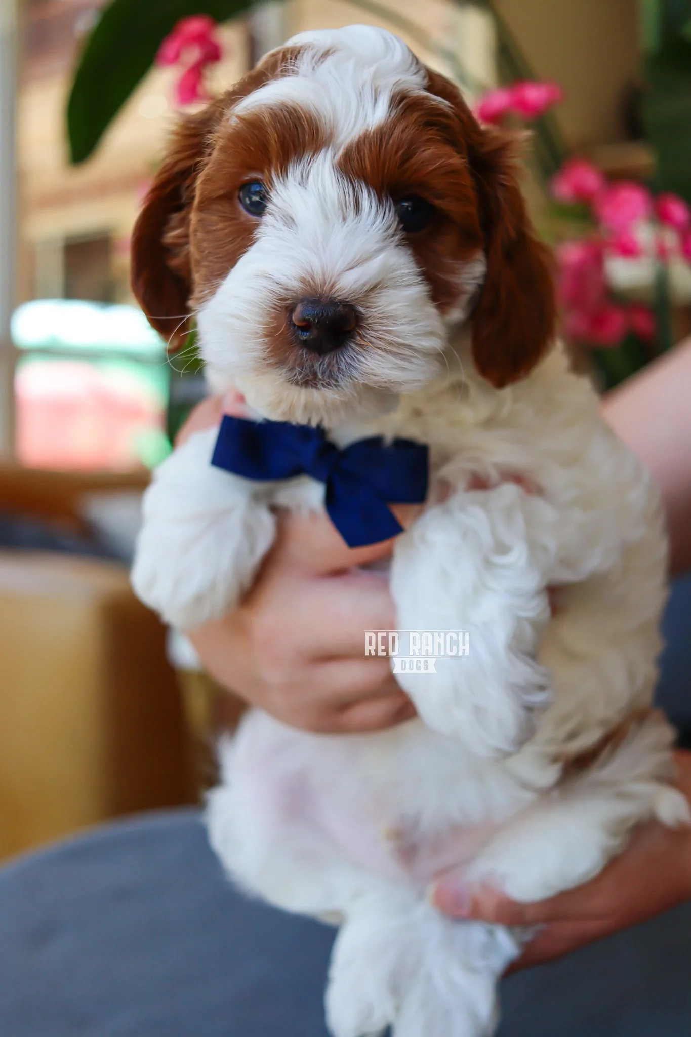 IMG_5475 10.06.53 AM.jpeg