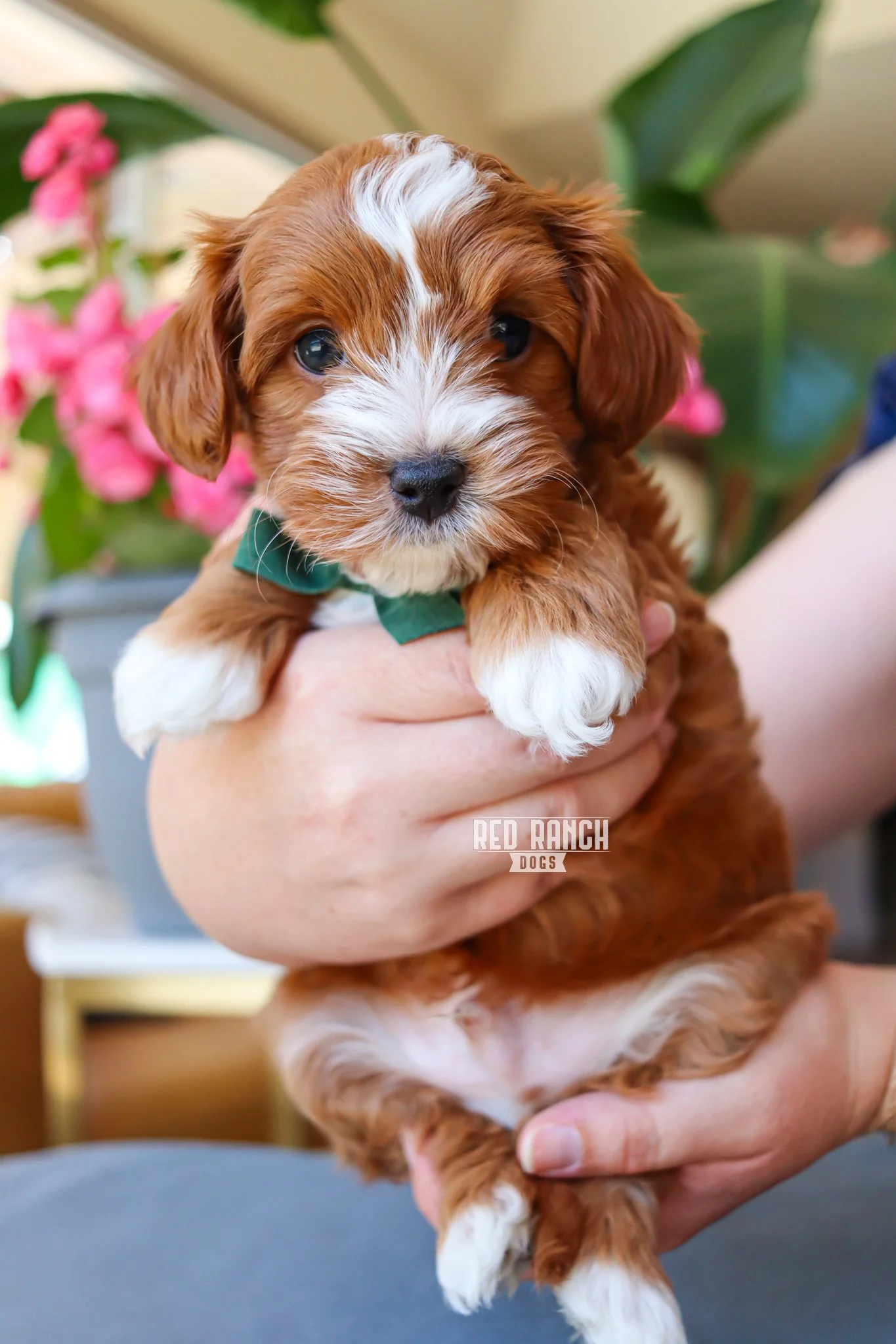 IMG_5446 10.06.53 AM.jpeg