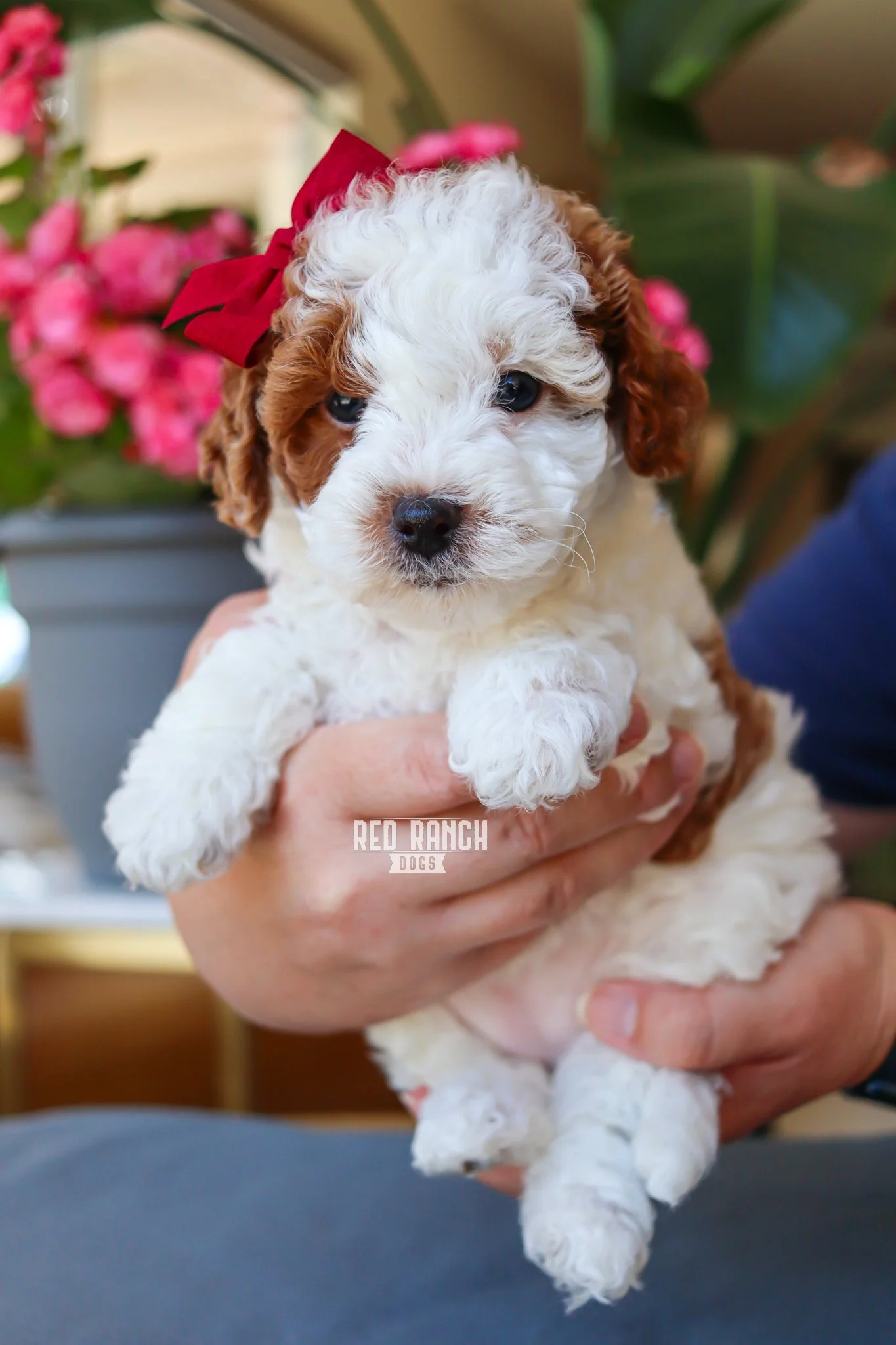 IMG_5426 10.06.53 AM.jpeg