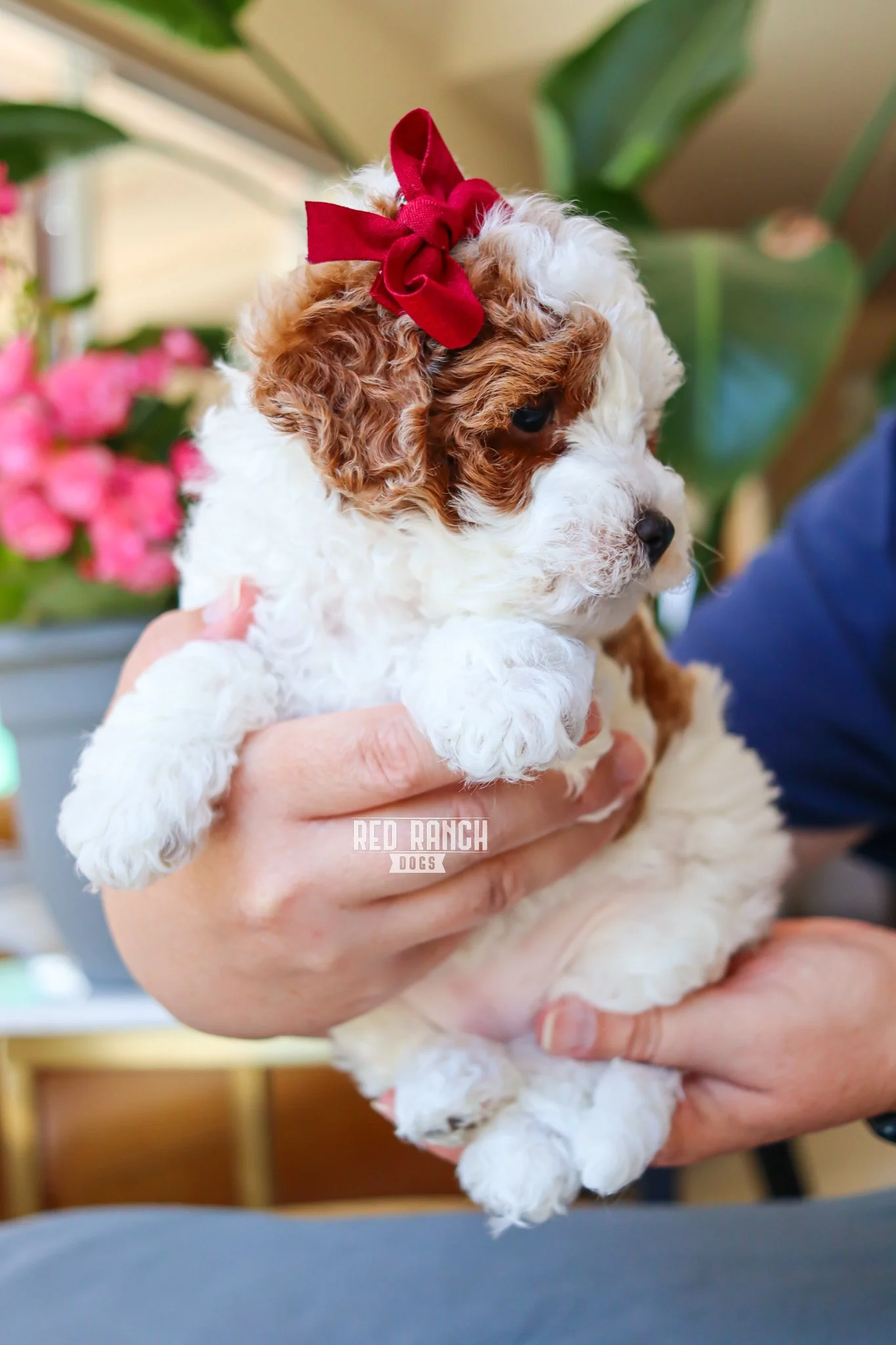 IMG_5434 10.06.53 AM.jpeg