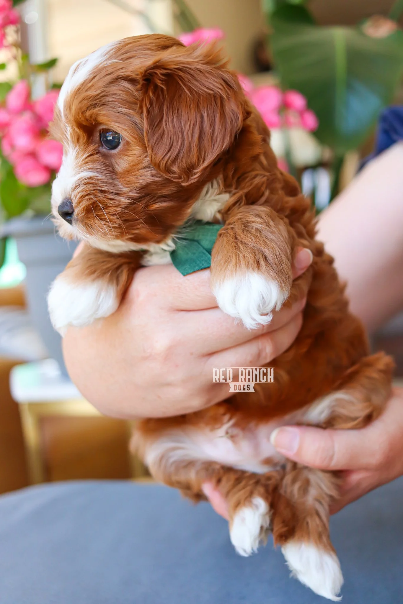 IMG_5451 10.06.53 AM.jpeg