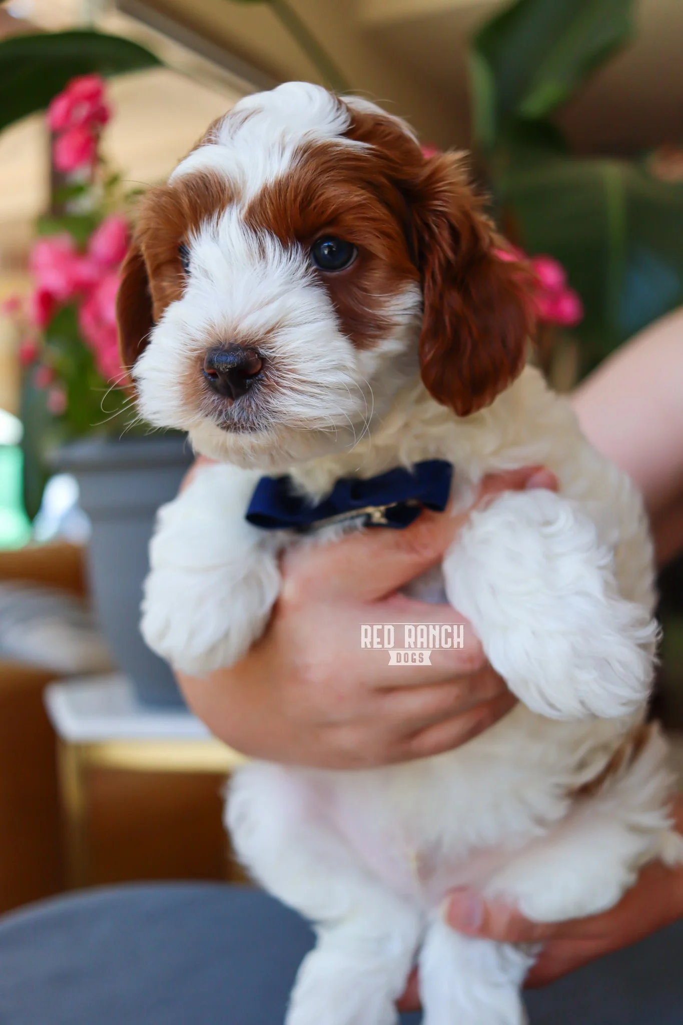 IMG_5467 10.06.53 AM.jpeg