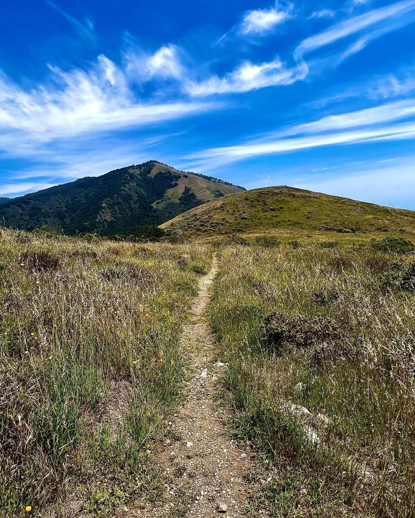 27 april 2022
silver peak wilderness, big sur, california 
⠀⠀⠀⠀⠀⠀⠀⠀⠀
when i named my studio &lsquo;singletrack sound&rsquo;, this was the picture in my head. it really doesn&rsquo;t get any better than this. 
⠀⠀⠀⠀⠀⠀⠀⠀⠀
⠀⠀⠀⠀⠀⠀⠀⠀⠀
#singletracksound #tr