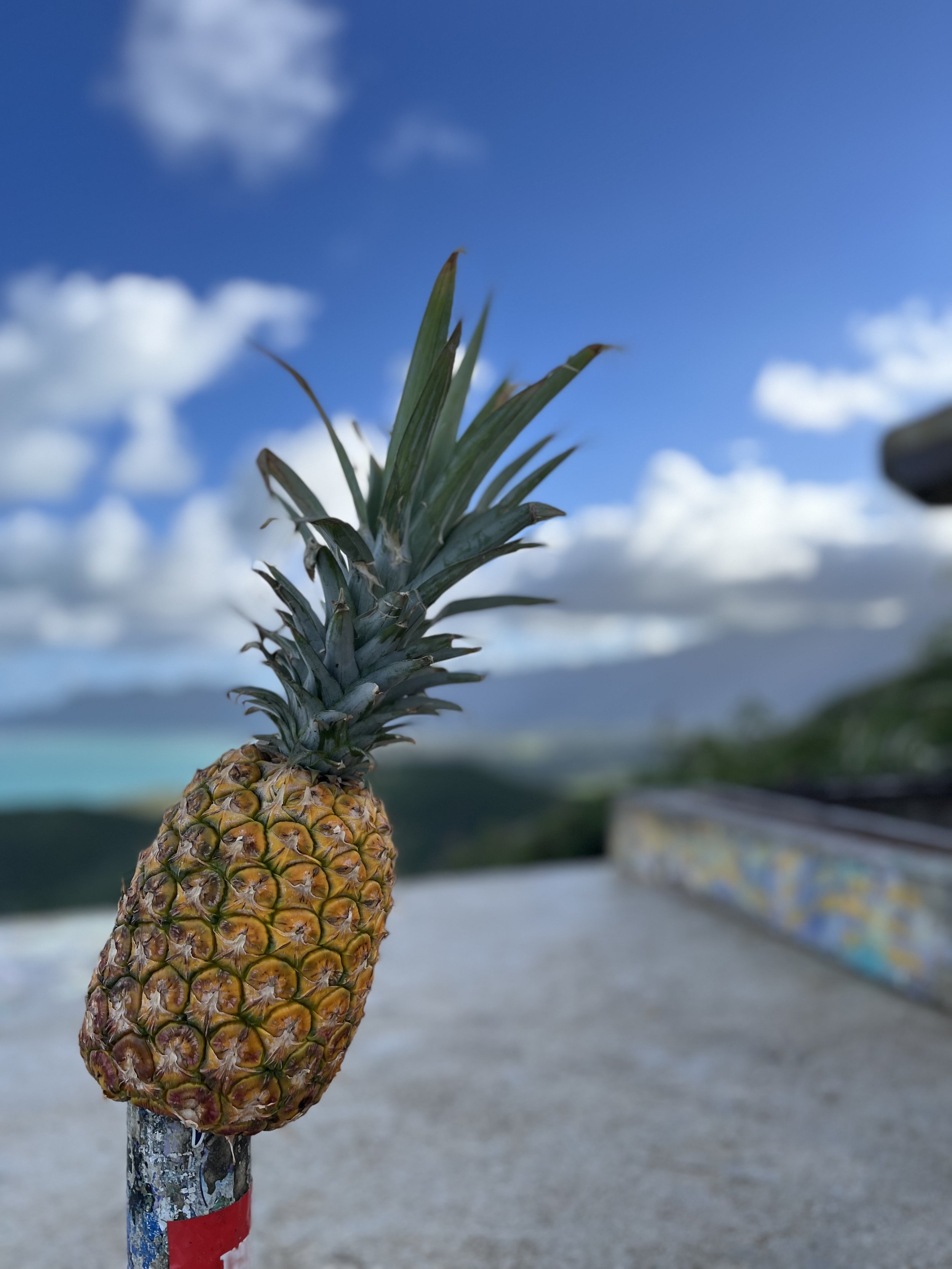 99D522C3-EBFB-4AAB-9BFD-77F561F9AB97.jpeg