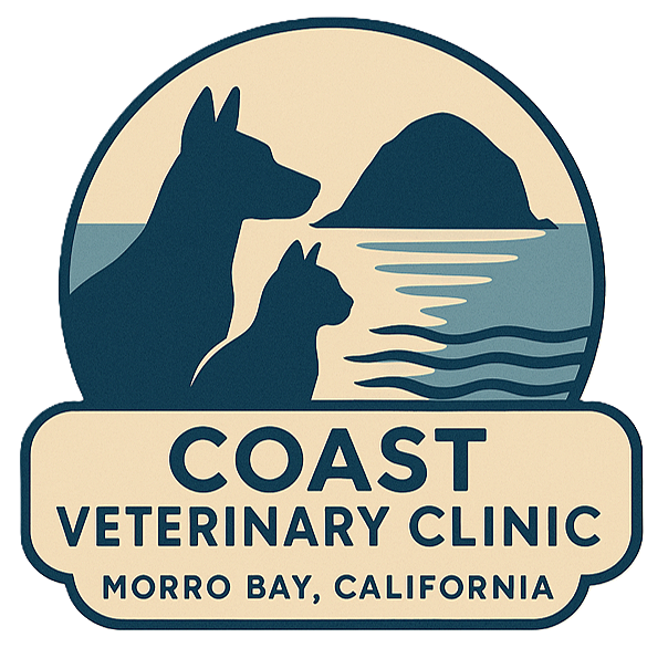 Coast Veterinary Clinic