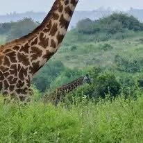 Kenyan site visit2.jpg