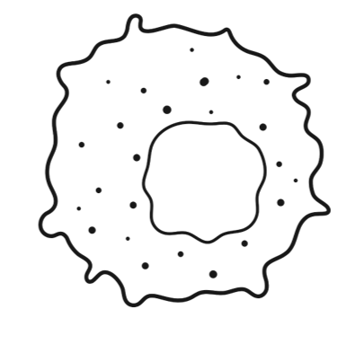 Tumor cell