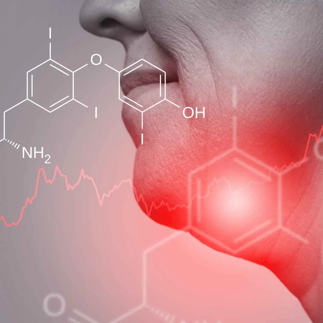 Inflammaging &amp; Menopause: Understanding the Hidden Link Between Estrogen, Inflammation &amp; Aging