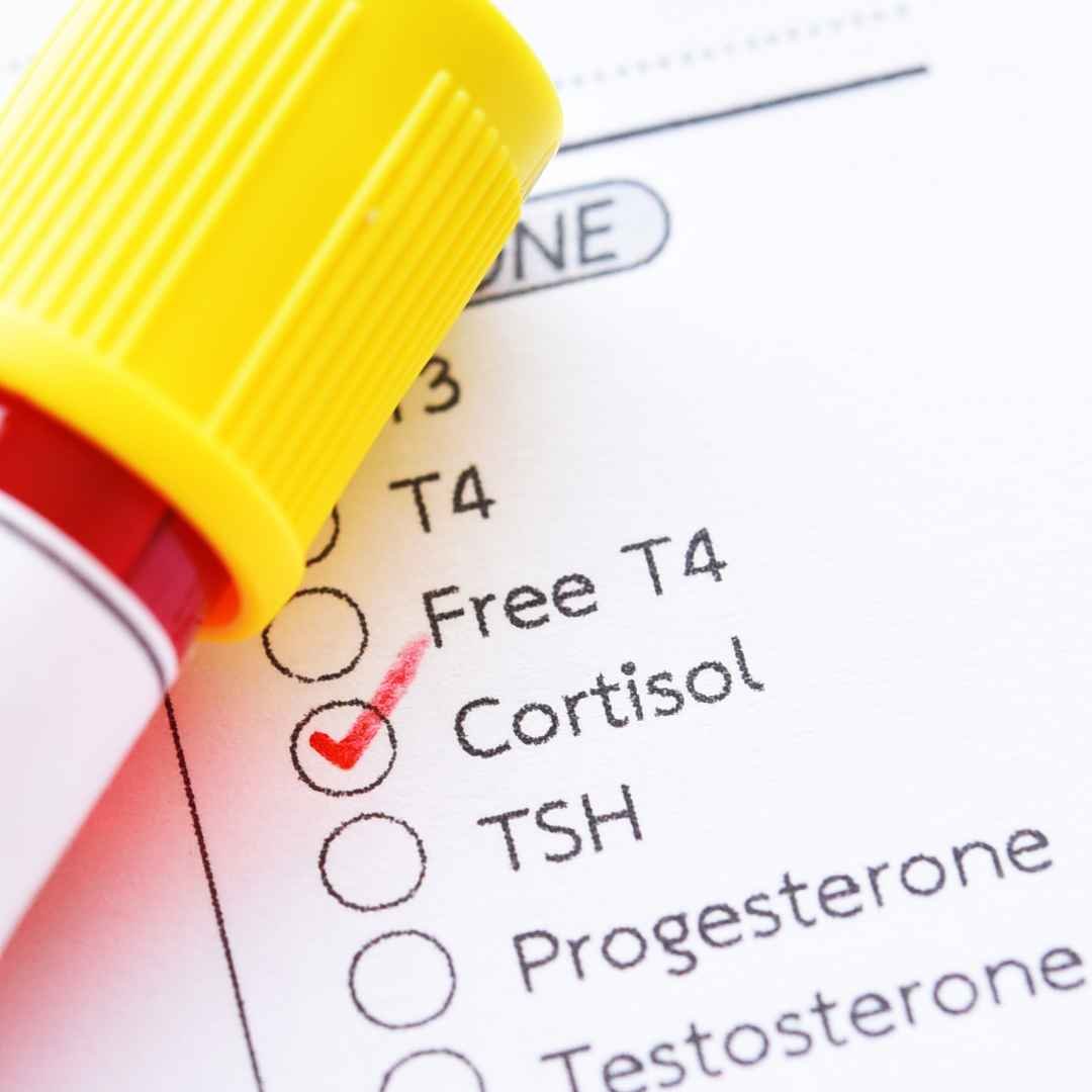 How Stress Disrupts Female Hormones: The Hidden Link Between Cortisol, Serotonin, Mood, and Menopause Symptoms