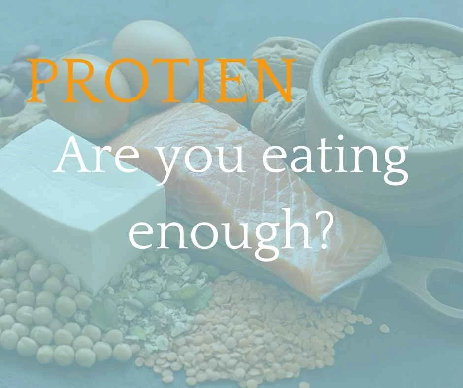 The Menopause Protein Gap: How Much Protein Do Women Over 40 Really Need?