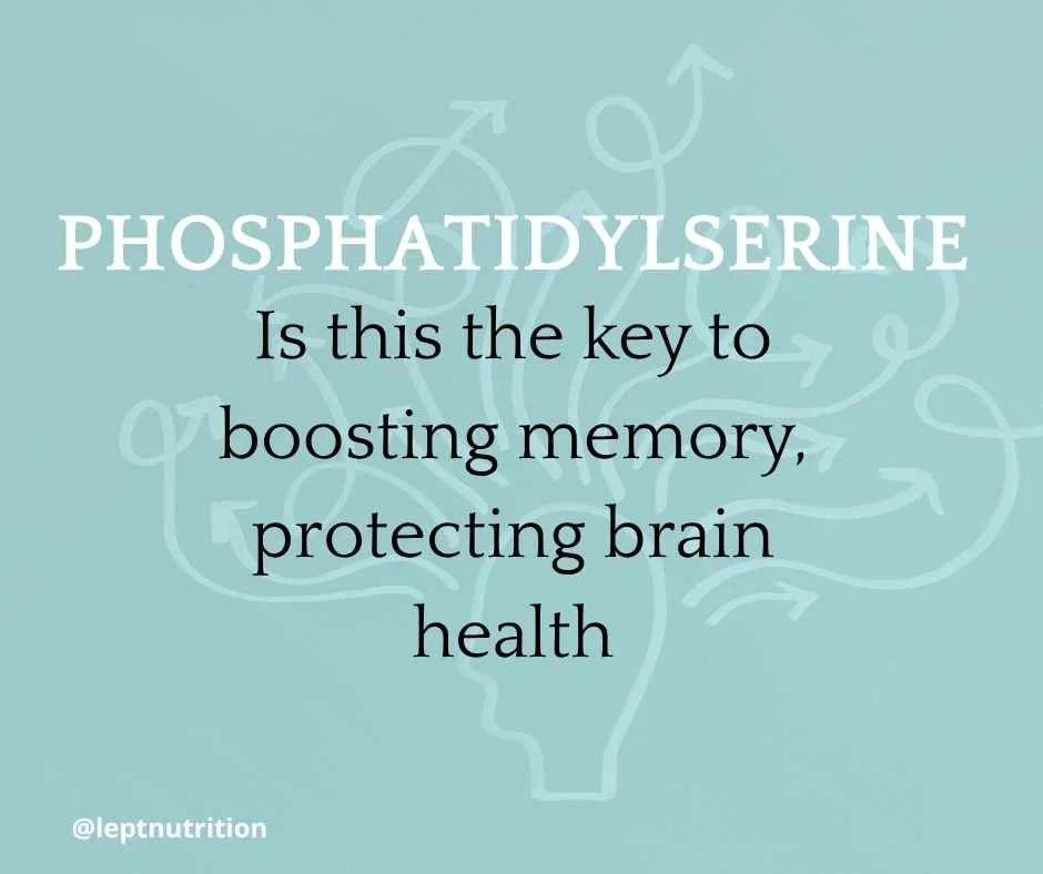 Is Phosphatidylserine the Key to Aging?