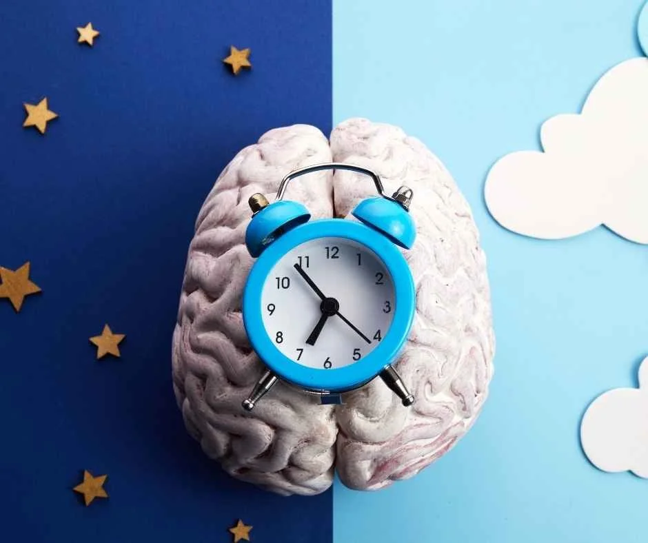 The Circadian Diet: Eating Carbohydrates Early for Better Health
