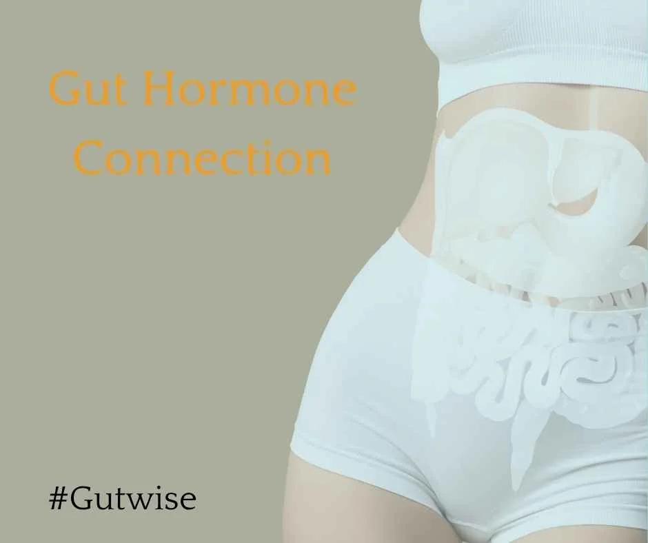 The Gut-Hormone Connection: How Your Microbiome Shapes Your Cycle and Menopause Symptoms: the gut hormone connection-how your microbiome shapes your cycle and menopause symptoms 
