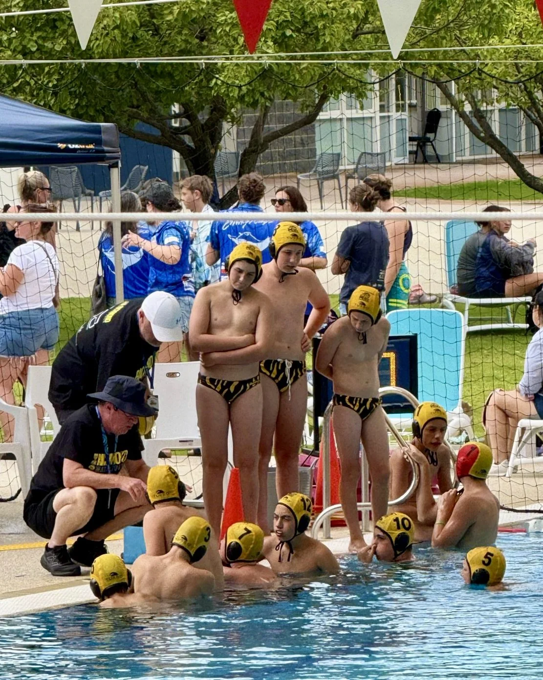 PHOTO-2025-04-18-14-41-13 2.JPG