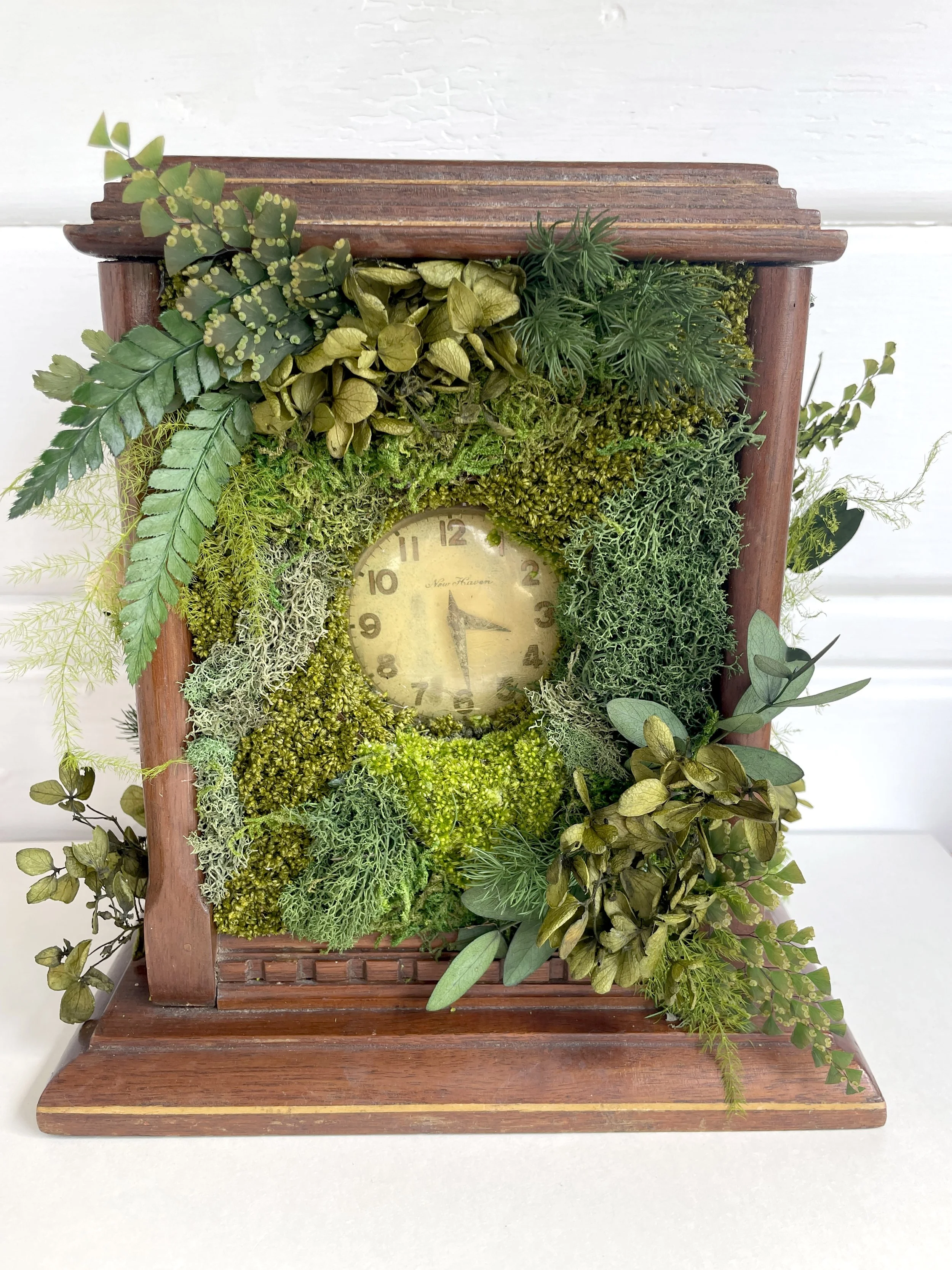 Clock with Face + Mushrooms + Plants 1.jpg