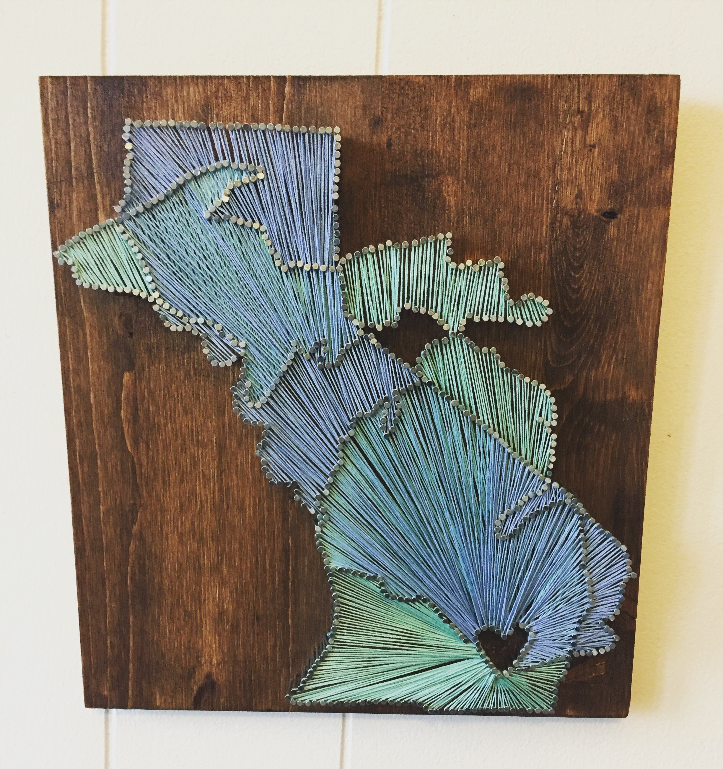 2016-12-08 08.52.58-1.jpg